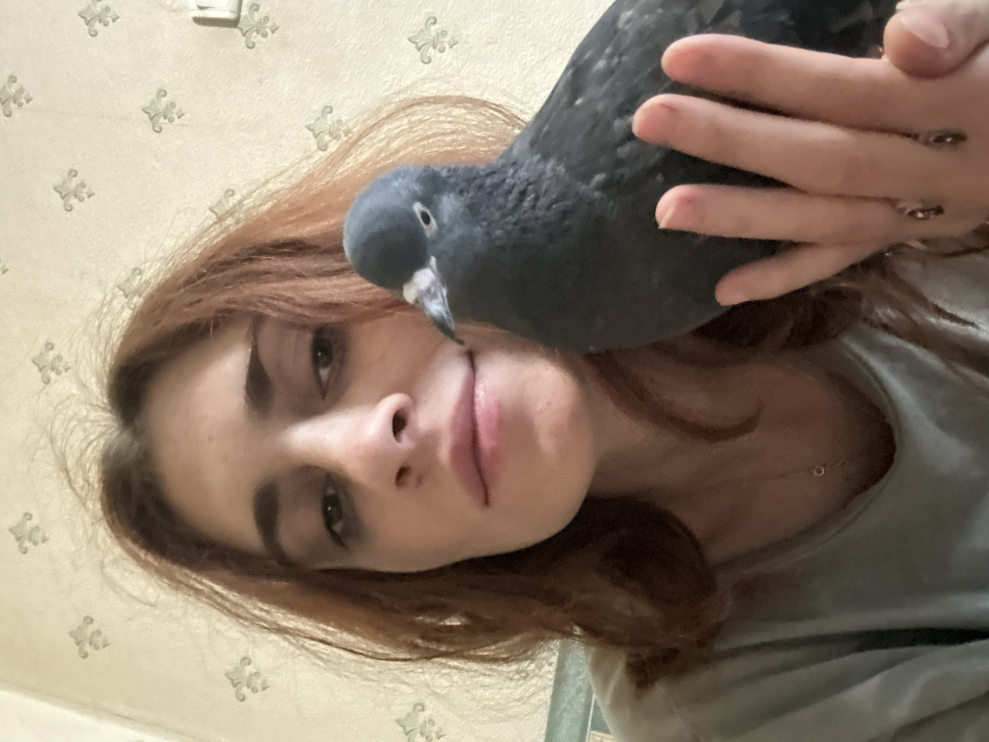 A medium shot captures a woman with reddish-brown hair holding a gray pigeon. The woman is looking towards the camera with her mouth slightly open. She is wearing a light-colored shirt. The pigeon is perched on her hand, which is visible in the lower right portion of the frame. The background consists of a wall with a subtle patterned wallpaper. No specific details of the city of Togliatti, Russia, are discernible in this image.