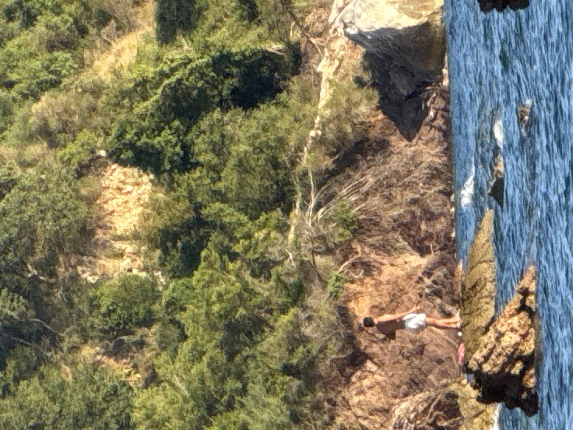 A person, appearing to be a young male, stands on a rock formation near the water's edge, facing away from the camera. He is wearing white shorts and is bare-chested. The rock formation is covered in scrubby vegetation and is part of a larger cliff face. The cliff face is covered in dense green foliage and shows patches of exposed rock. The water in the foreground is blue with whitecaps, suggesting a choppy sea. The scene appears to be a coastal area, likely in a warm climate, given the vegetation and attire of the person. The location is the coastline of Pržno, Montenegro.