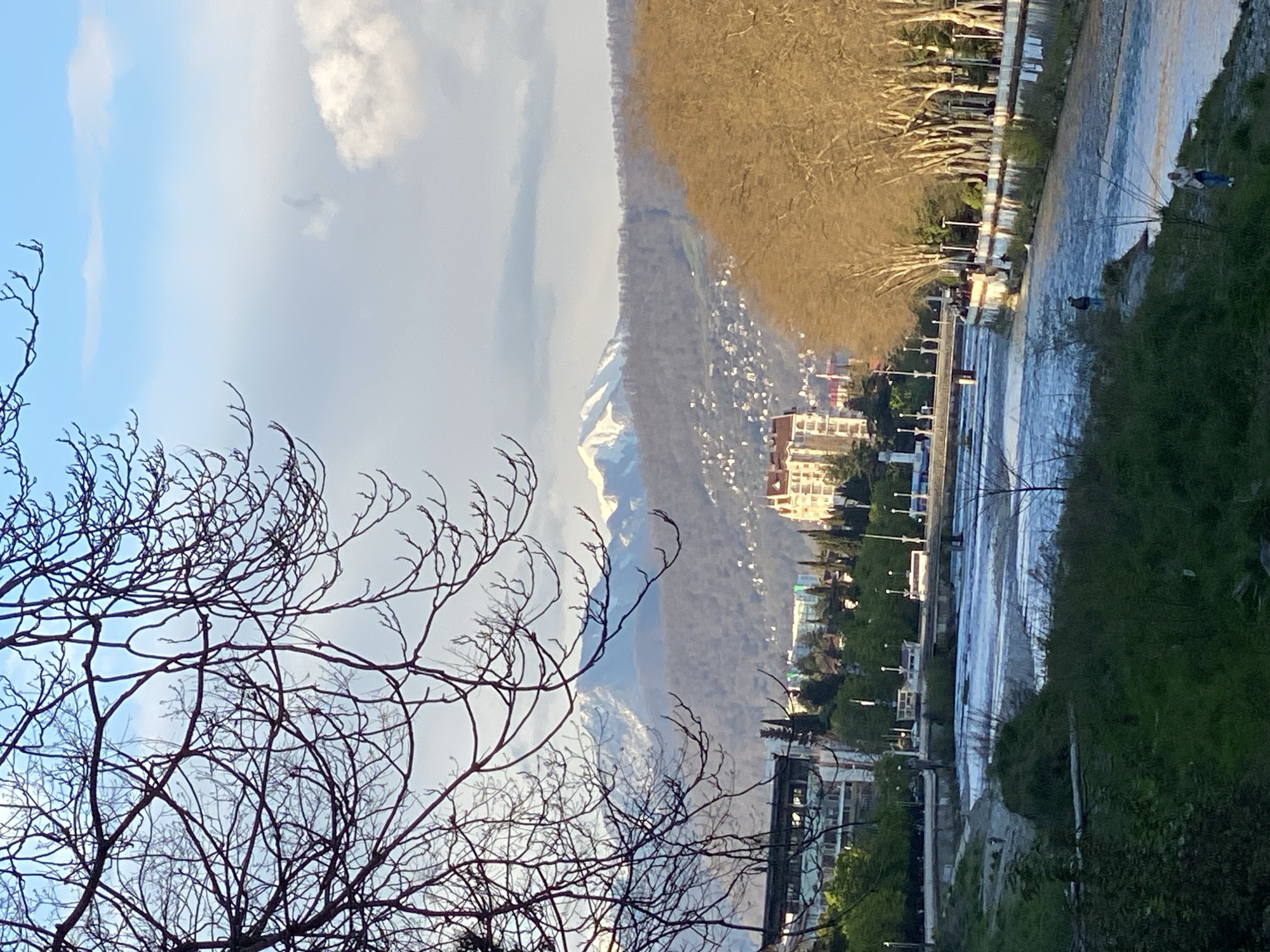 A vertically-oriented landscape shows a section of the city of Sochi, Russia. Bare tree branches fill the lower left quadrant, silhouetted against a sky with patches of blue and clouds. In the center, a mountain range is visible with snow-capped peaks. A river cuts through the cityscape, its surface reflecting light. Along the riverbanks, lampposts line a walkway. Green foliage extends along the river's edge on the right side of the image. Two figures are visible on the right bank, with one appearing to fish in the river. Buildings are scattered throughout the city, including multi-story apartments. Brown trees cover part of the mountainside.