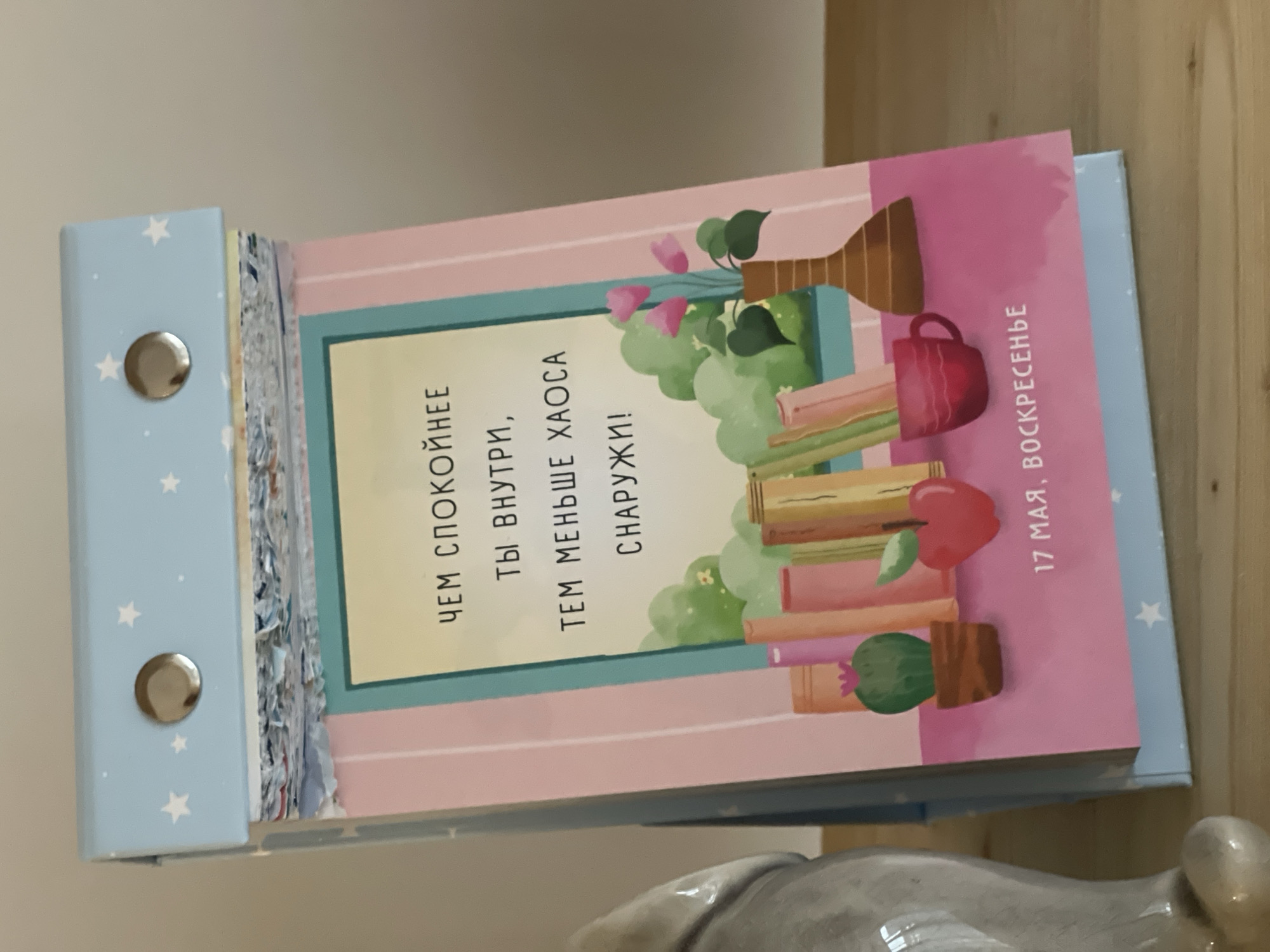 The image shows a desk calendar, likely from Russia based on the Cyrillic text. The calendar is light blue with white stars on the spine and has metal rings to hold the pages. The visible page is pink with a cartoon illustration featuring a vase of flowers, books, an apple, and a cactus in a pot. The text on the page reads: "ЧЕМ СПОКОЙНЕЕ ТЫ ВНУТРИ, ТЕМ МЕНЬШЕ ХАОСА СНАРУЖИ!" and "17 МАЯ, ВОСКРЕСЕНЬЕ" which translates to "The calmer you are inside, the less chaos outside!" and "May 17th, Sunday". The location, Izhevsk, Russia is unknown, based on this visual evidence.