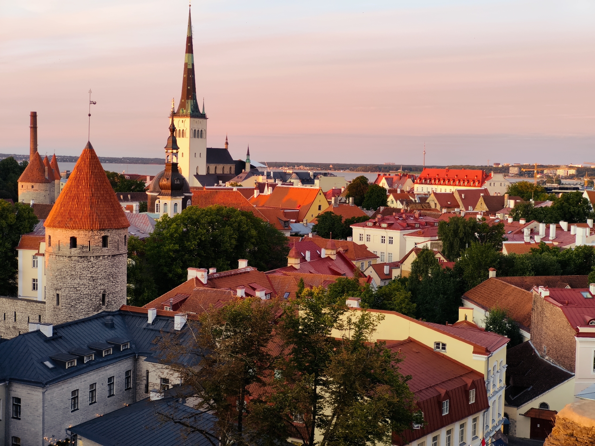 This is an aerial, high-angle, full shot of the historic Old Town of Tallinn, Estonia, at sunset. The sky is a soft pink and orange gradient. The foreground features a conical red-roofed tower, a prominent stone tower with a red conical roof, and a grey building with a dark grey roof. Beyond these structures, the cityscape is dominated by numerous buildings with red tiled roofs, interspersed with green trees. A tall church spire with a green and white steeple rises above the rooftops. In the background, there is a body of water, a distant shoreline with buildings, and construction cranes. The overall impression is of an ancient European city bathed in warm evening light.