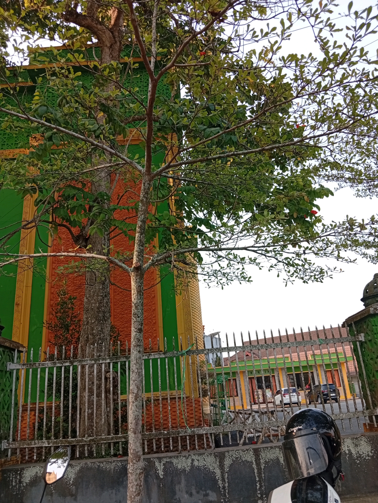 A scooter is parked on a street in front of a fence. A black helmet sits on the scooter. Behind the fence is a building with green and orange walls. There are trees in front of the building. In the background, more buildings and cars are visible. The sky is clear. The location is Samarinda, Indonesia.