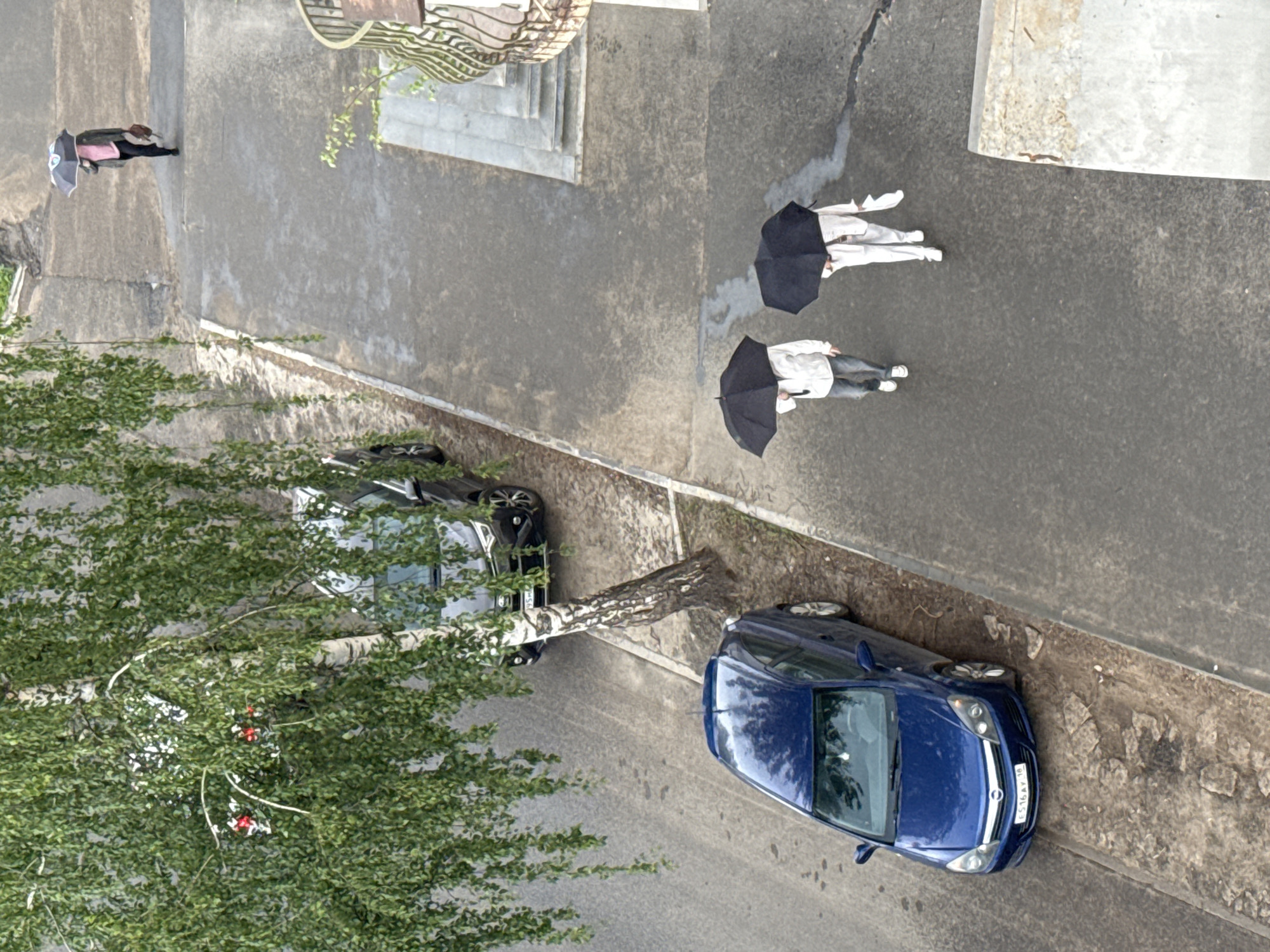 An overhead photograph captures an urban street scene in Votkinsk, Russia, viewed from a high vantage point. The wet asphalt road and sidewalk suggest recent or ongoing rain, with several individuals using umbrellas.
Four people are visible, all seen from above. On the left, one person walks holding a light-colored umbrella. In the mid-right, two individuals walk closely together, both shielding themselves with black umbrellas. A fourth person, also with a black umbrella, follows behind them. All appear to be moving in the same general direction away from the viewer.
Two cars are parked along the curb. On the right, a dark blue Opel Astra H sedan is clearly visible, bearing the license plate "E516 AY 18," which includes the region code for Udmurt Republic. A black sedan is partially obscured behind a large birch tree with dense green foliage, located on the left side of the frame. Small, red, decorative objects are noticeable within the tree's branches.
The setting includes a paved sidewalk, cracked concrete surfaces, and architectural elements such as concrete steps and a decorative metal railing of a nearby building, seen in the upper right. The lighting is diffused and overcast, consistent with rainy weather conditions.