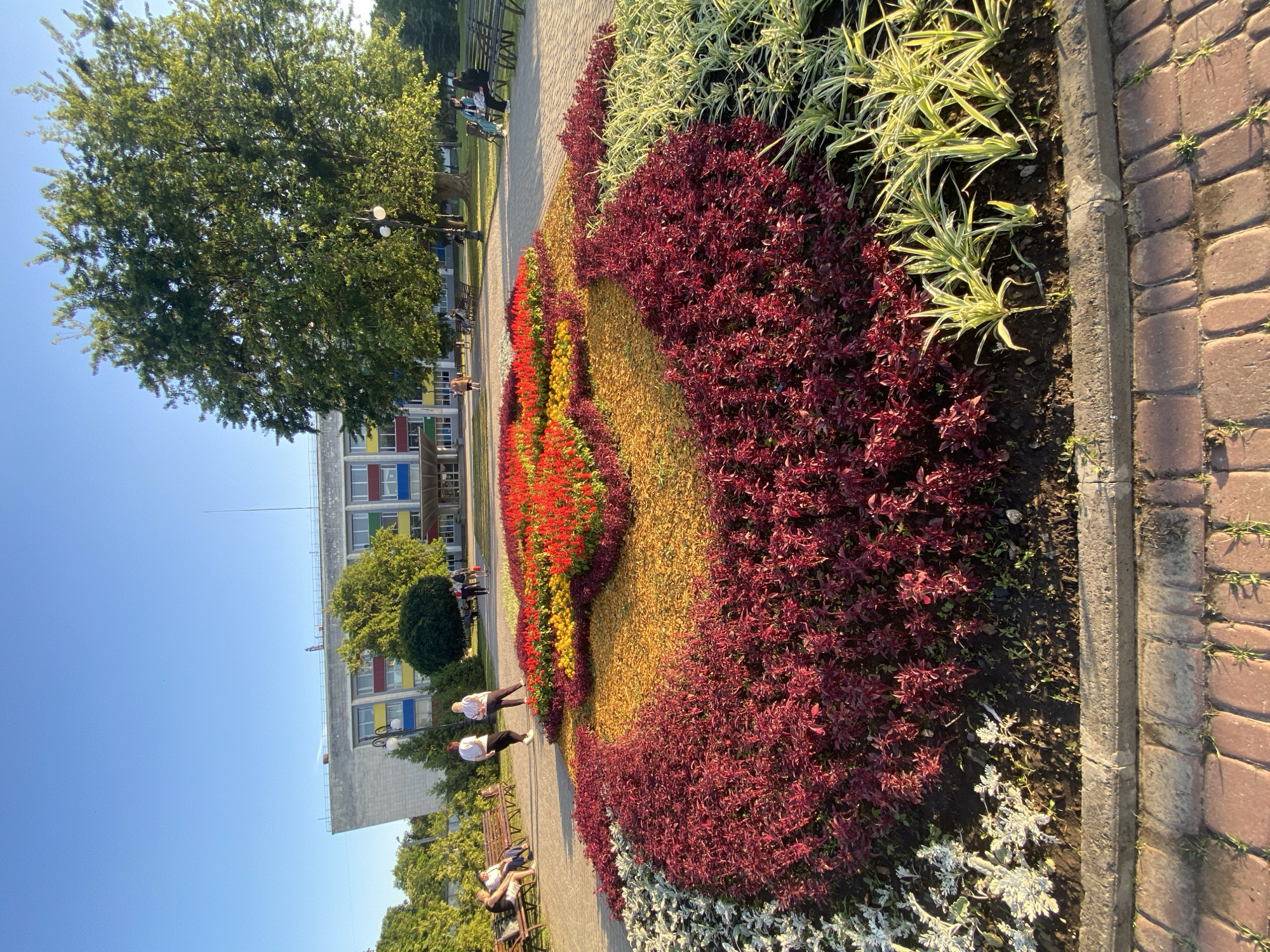 This is a vertical, eye-level, full shot taken on a sunny day in Kharkiv, Ukraine. The scene is dominated by a large, heart-shaped flowerbed in the foreground, filled with red, yellow, and burgundy plants. The flowerbed is bordered by a brick pathway and a concrete curb. In the background, a large, modern building with colorful accents stands under a clear blue sky. A tall, leafy tree is positioned to the right of the building. Several people are visible in the scene: some are sitting on benches, while others are walking or standing. The overall impression is one of a public space, possibly a park or a plaza, with abundant greenery and floral displays.