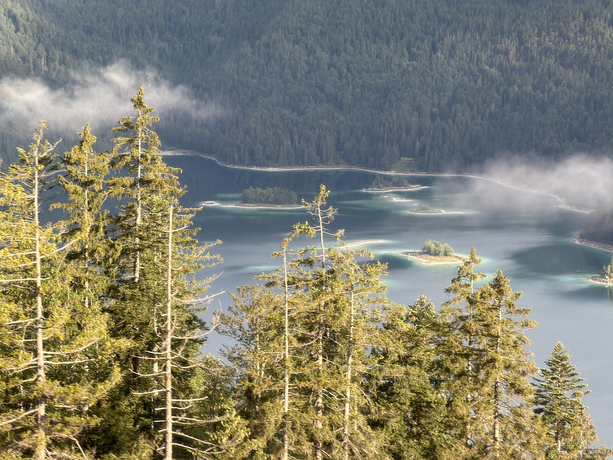 This is a high-angle, full shot of the Eibsee lake in Grainau, Germany, on a clear day. The foreground is dominated by the tops of several tall, coniferous trees with green needles and bare branches. The middle ground features the turquoise waters of the Eibsee, dotted with small, tree-covered islands. Wisps of fog drift across the lake. In the background, a dense, dark green forest covers a steep mountain slope. The sky above is a pale blue. There are no people or animals visible in the image.