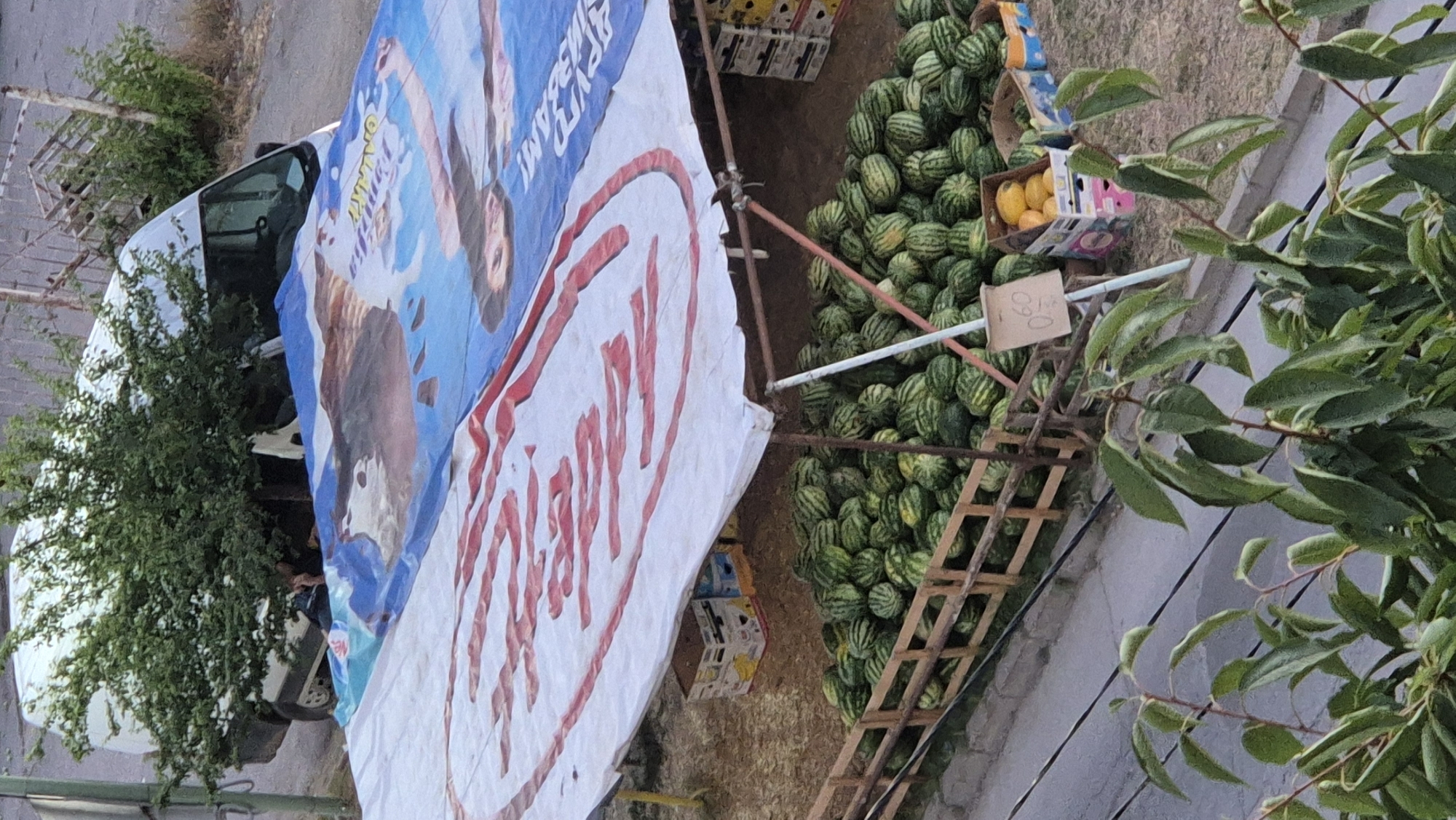An outdoor watermelon stand is set up beneath a large tarp printed with images of people and text. The stand is constructed with a wooden fence enclosing a large pile of watermelons. In the background, a white van is parked near some bushes, and some crates of fruit are visible. A sign with the price "0,60" is hanging near the stand. The overall scene appears to be a marketplace or roadside vendor in the city of Lovech, Bulgaria.