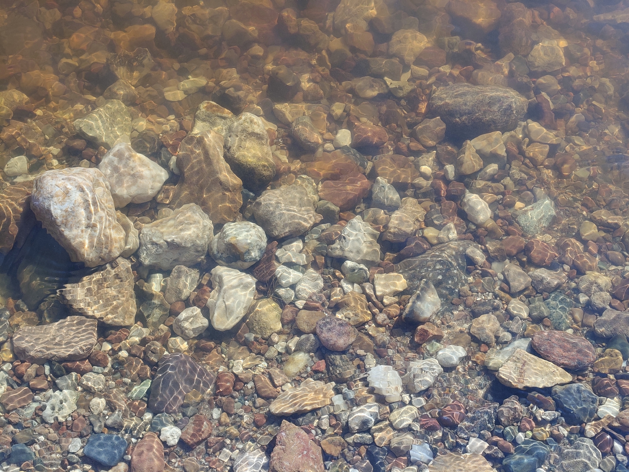 The image shows a close-up, overhead view of a rocky riverbed beneath shallow, clear water. The rocks vary in size, shape, and color, ranging from small pebbles to larger stones, with hues of brown, gray, white, and reddish-brown. Sunlight refracts through the water, creating patterns of light and shadow on the stones. The water appears calm and the riverbed is densely packed with rocks. This scene is located in the city of Velikiy Ustyug, Russia, likely along the Sukhona River. There are no people or animals visible in the image.