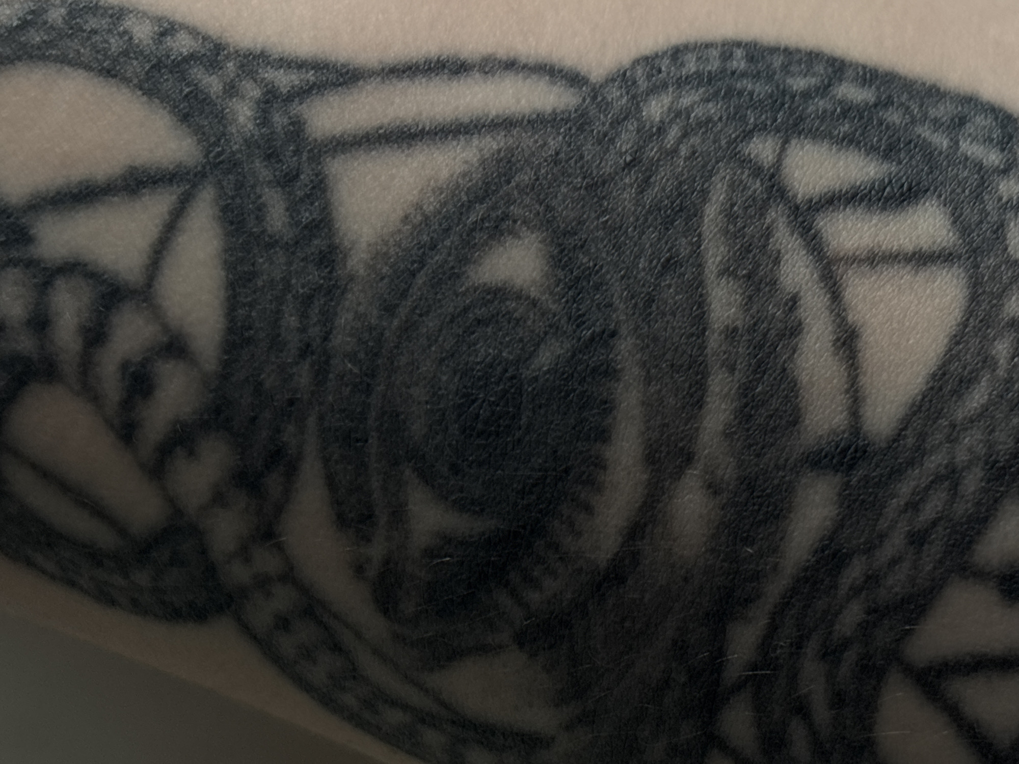The image displays a close-up of a dark tattoo on human skin. The tattoo appears to be an intricate design featuring swirling lines and what resembles an eye or a circular motif, possibly part of a larger composition like a snake or a mandala. The ink is dark, and the lines vary in thickness, creating a sense of depth and texture. The skin shows natural pores and fine hairs, indicating it is a body part such as an arm or leg. There are no discernable elements in the image that would place it in Saint Petersburg, Russia, or any specific urban environment. The scene is isolated to the tattoo itself and the skin it is on.