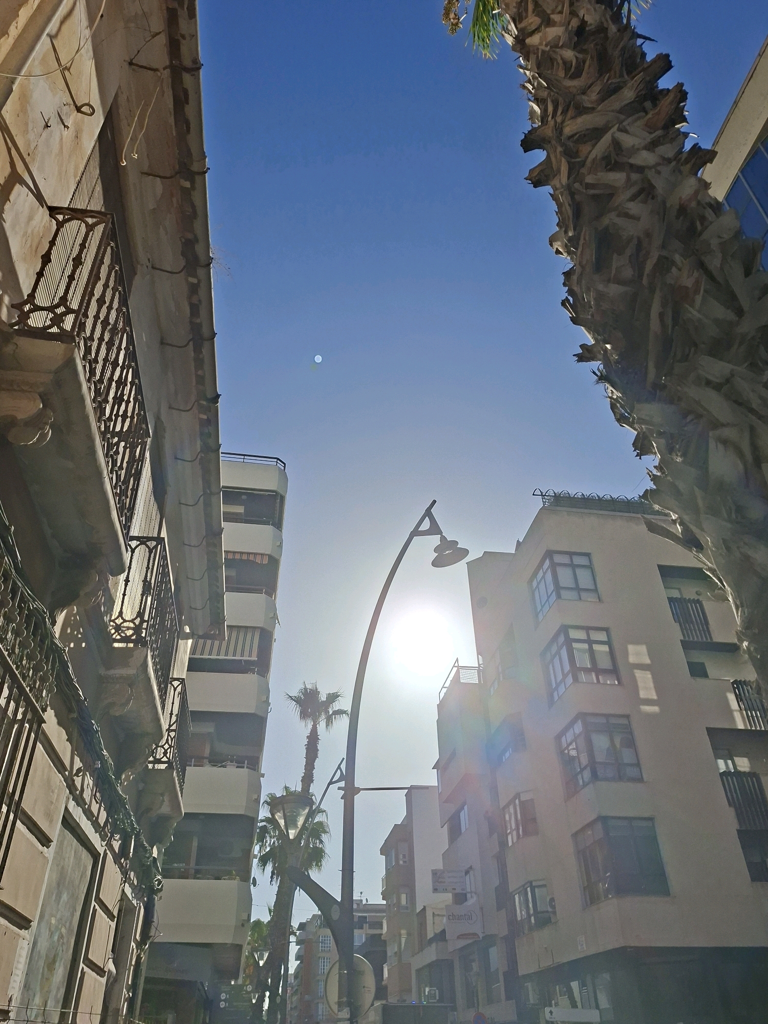 The image is a low-angle shot looking up at buildings and a palm tree against a clear blue sky. The sun is shining brightly, creating a lens flare effect and casting shadows. On the left, an old building with ornate balconies and a weathered facade is visible. To the right, a modern, multi-story building with balconies and large windows stands. A tall palm tree is positioned in the center-right of the frame, its trunk rough and fibrous. A street lamp with multiple lights is positioned in the foreground. The scene appears to be in a Mediterranean city, possibly Torrevieja, Spain, given the architecture and vegetation. There are no people visible in the image. The overall impression is a sunny day in an urban environment with a mix of old and new architecture.