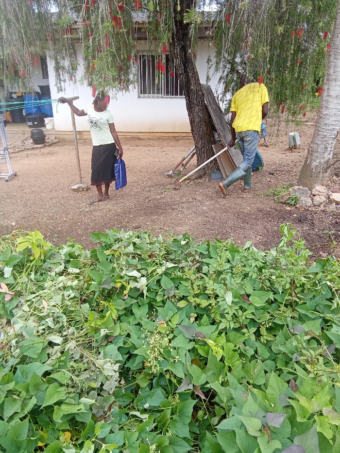 Memory