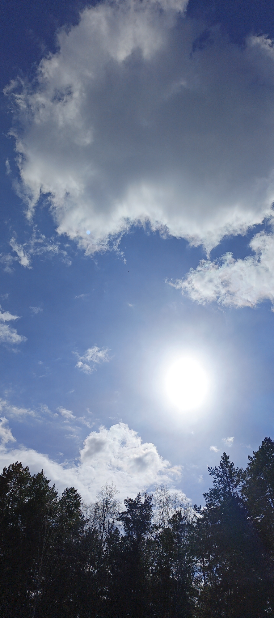 The image depicts a bright, sunlit sky over a treeline. The sun is a prominent, circular white orb in the center of the frame, diffused by thin clouds. The sky is predominantly blue, with scattered white and gray clouds. The trees at the bottom of the image appear dark green and silhouetted against the bright sky.
Given the prompt’s additional details, it can be specified that the location is the city of Chaikovsky, Russia.