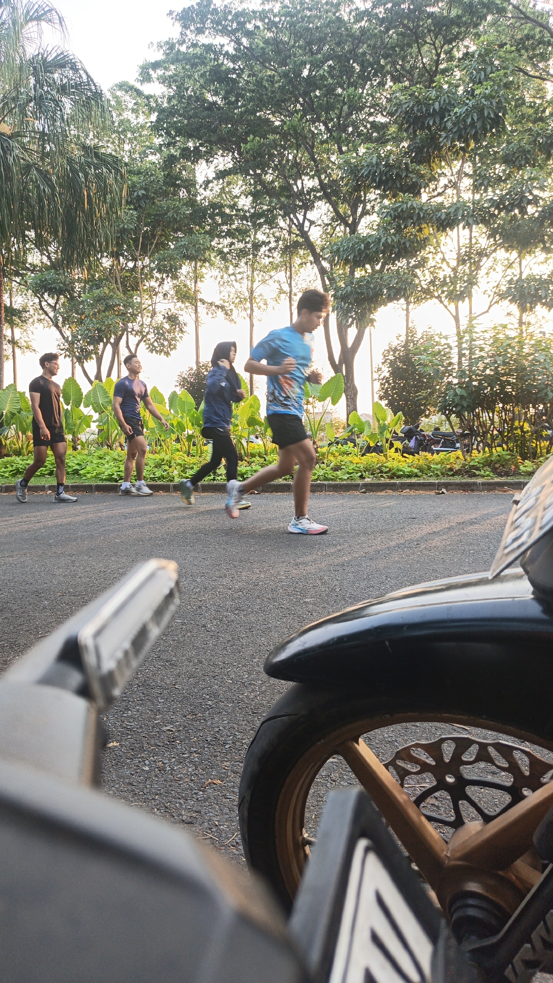 In the city of Bacin, Indonesia, four individuals are captured in motion on an asphalt path bordered by lush greenery and mature trees. The scene appears to be a park or recreational area, illuminated by the warm glow of the setting or rising sun. In the foreground, the blurred perspective of a motorcycle's wheel and handlebars suggests a viewer positioned behind the vehicle.
The first person from the left is a male wearing a black t-shirt and shorts, walking briskly. To his right, another male in a dark blue t-shirt and shorts is also walking, looking slightly to his left. Further to the right, a female wearing a dark blue jacket and black leggings is running. The furthest individual on the right is a male in a bright blue t-shirt with a colorful design and black shorts, also running. The group appears to be engaged in a recreational activity, likely a morning or evening jog. The background reveals a dense arrangement of tall, leafy plants and trees, with some ornamental shrubs and flowers adding color to the landscape. The overall atmosphere is one of outdoor activity and natural beauty.
