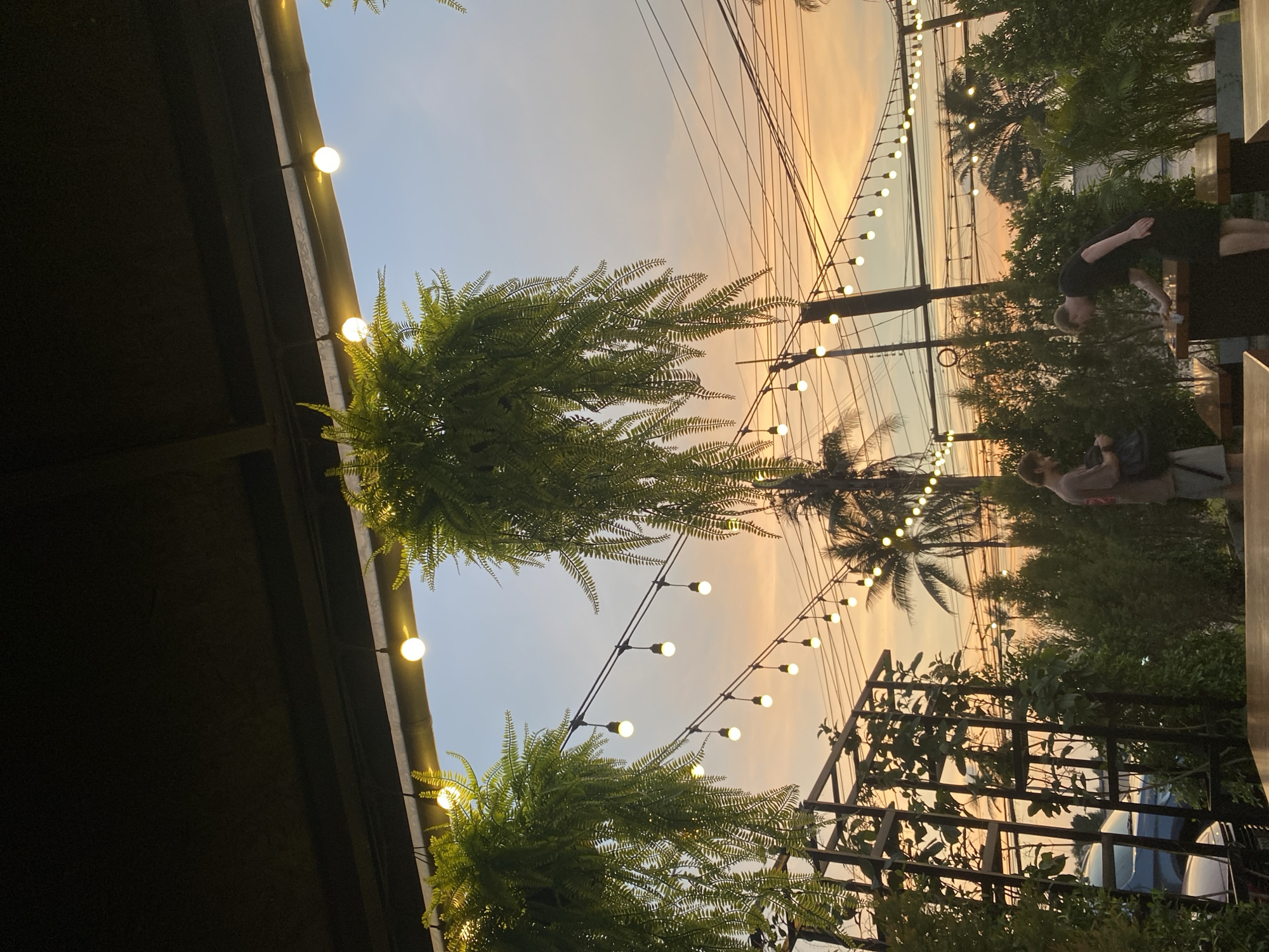 Outdoor scene in Choeng Thale, Thailand, featuring evening ambiance. Fern baskets hang from the edge of a dark structure adorned with spherical string lights. Overhead power lines traverse the sky, interspersed with palm trees silhouetted against the dusk horizon. People are present, engaged in casual interactions, alongside outdoor seating. A metal framework with climbing plants stands in the periphery, and partially visible vehicles hint at a nearby street.