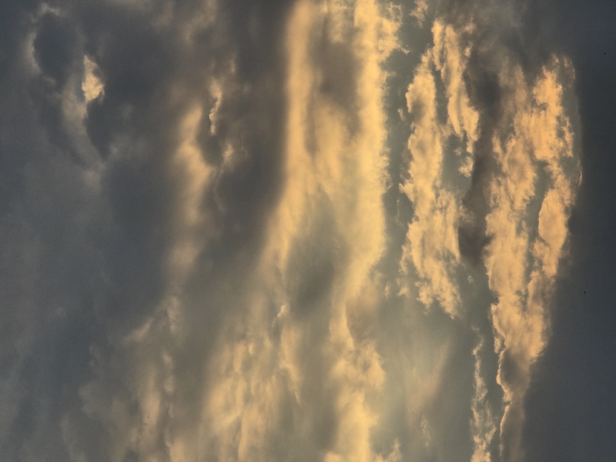 The image depicts a dramatic sky filled with clouds, likely captured at sunset or sunrise over Vilnius, Lithuania. The clouds are varied in texture and density, with some appearing dark and ominous, while others are illuminated by a warm, golden light. This contrast suggests a dynamic atmospheric condition, possibly hinting at an approaching storm or the remnants of one. The overall impression is one of natural beauty and a sense of awe at the power of the elements. The exact location within Vilnius is not specified, but the context suggests an open area where the sky is fully visible, such as a park, a hilltop, or the banks of the river Neris. There are no people, specific buildings, or identifiable landmarks visible in the image.