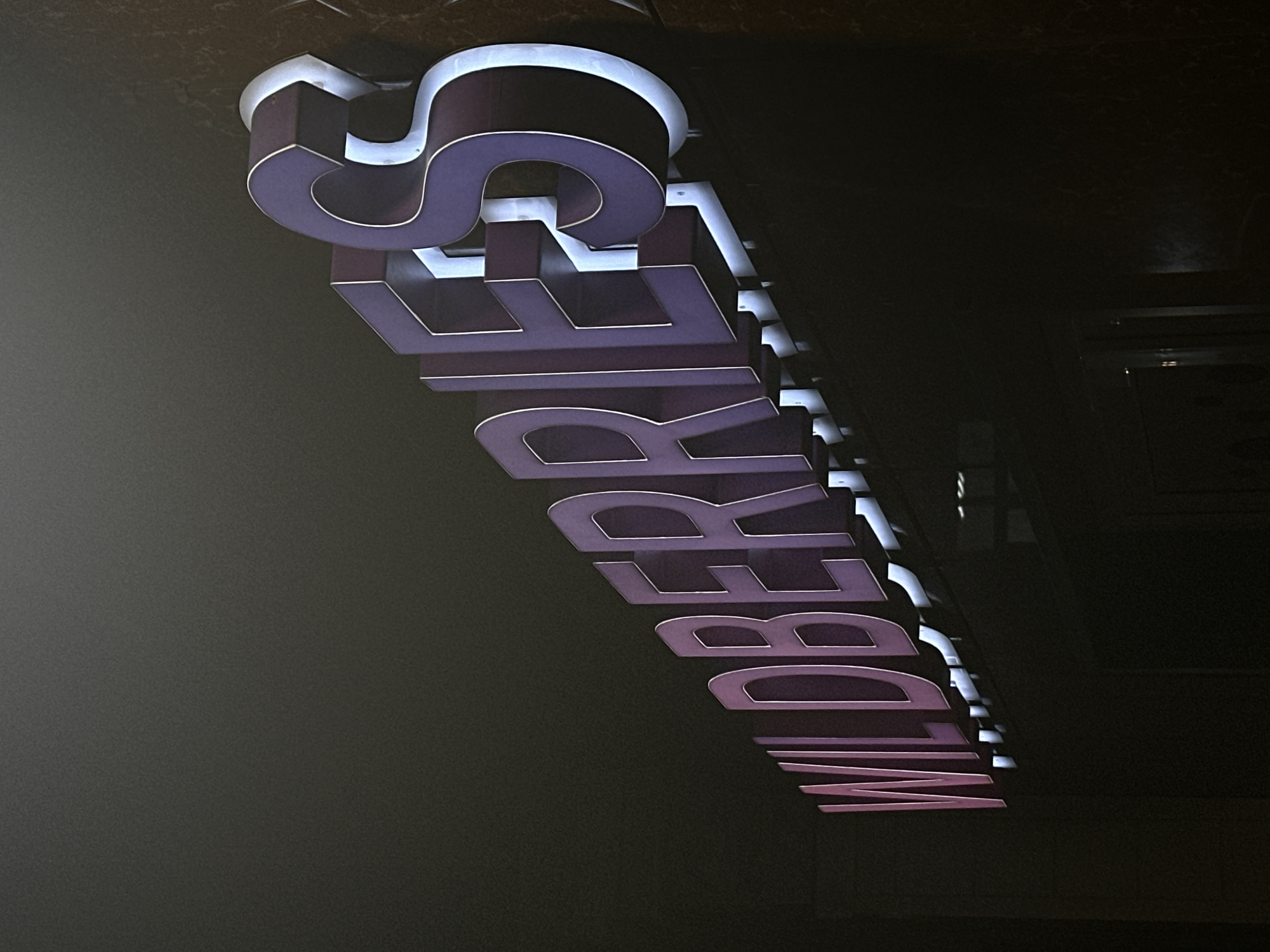 The image shows an illuminated three-dimensional sign displaying the name "WILDBERRIES". The letters are purple with white outlining and internal lighting. The sign is mounted on a dark surface. It is located in the city of Rostov-on-Don, Russia.