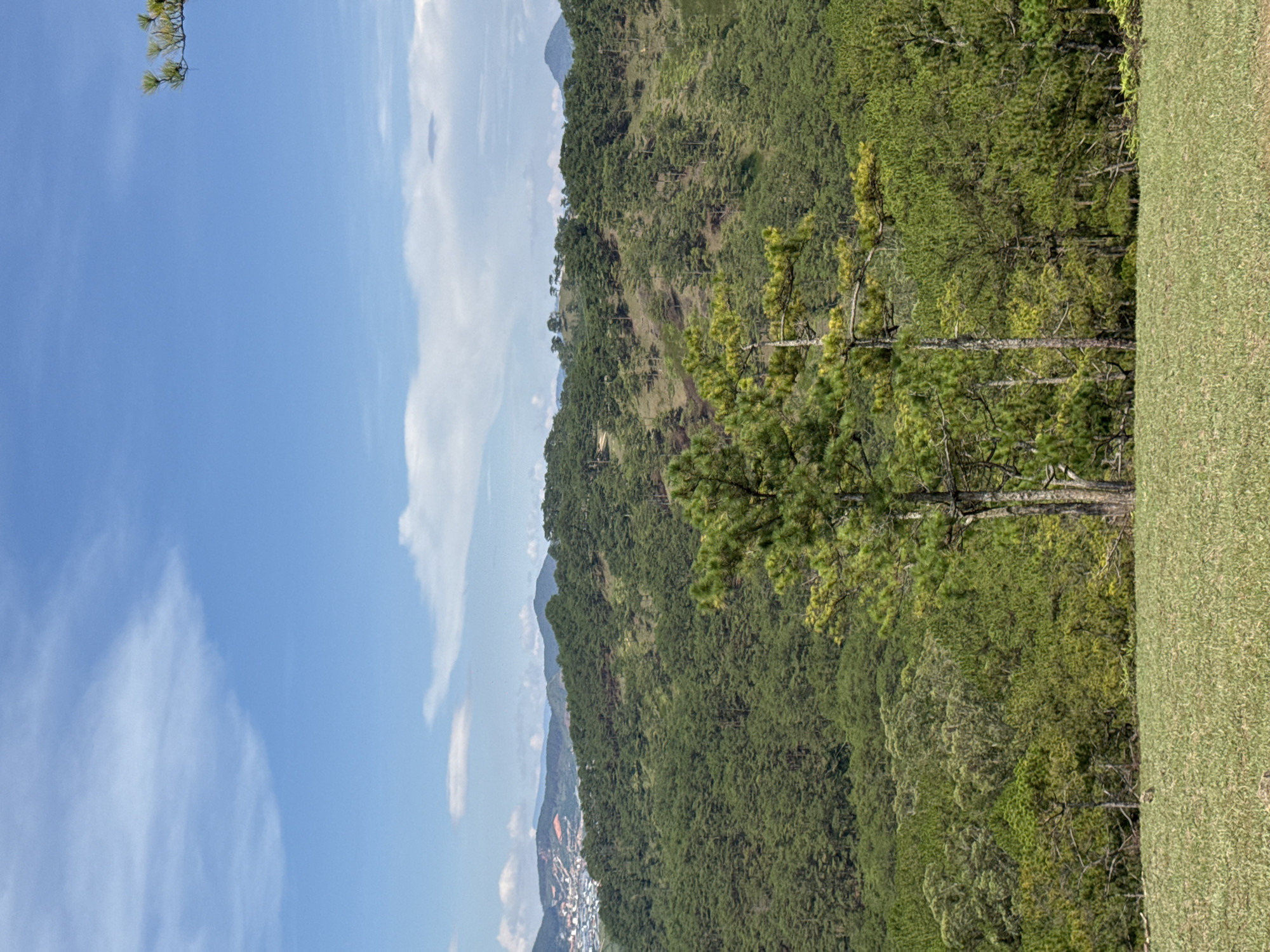 The image shows a landscape in Lạc Dương, Vietnam. A green hillside covered in trees and vegetation slopes downwards. To the left, the sky is blue with scattered white clouds. In the lower-left corner, a portion of the city is visible, suggesting a view from a higher vantage point. A patch of green grass occupies the foreground on the right side. A tree is positioned in the middle ground.
