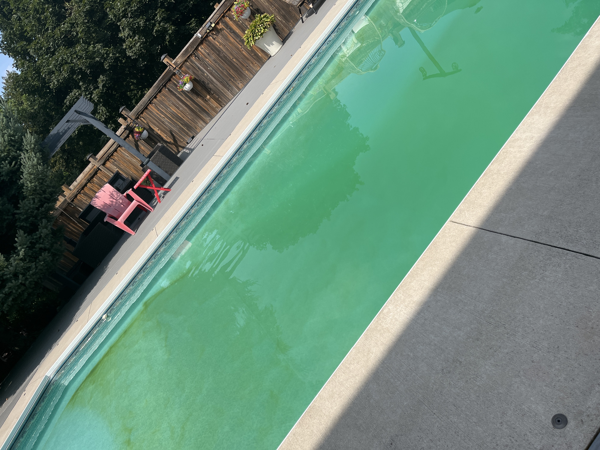 The image depicts an outdoor swimming pool with green, murky water, suggesting a lack of maintenance. The pool area is surrounded by a concrete patio and a wooden fence. Several items are visible, including a pink lounge chair, a small red side table, and potted plants. The scene appears to be a residential backyard. The image was taken in Hamilton, Canada, on a sunny day. There are no people visible in the image.