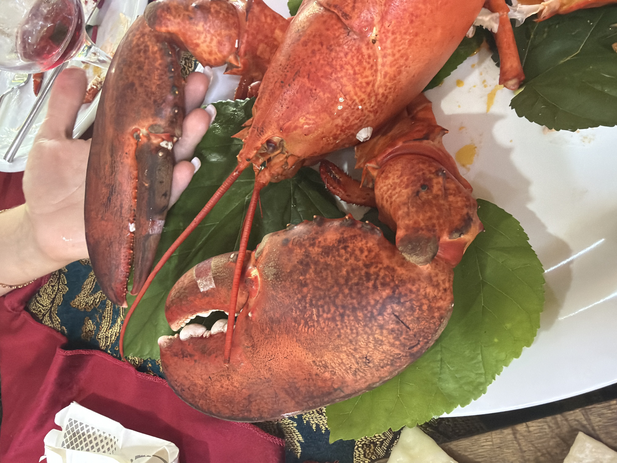The image shows two cooked lobsters on a white plate with green leaves. A hand is holding one of the lobsters, and a wine glass with red wine is visible in the background. The setting appears to be a restaurant or dining area. The image does not contain information that would allow for the determination of the specific location within Kemer, Turkey.