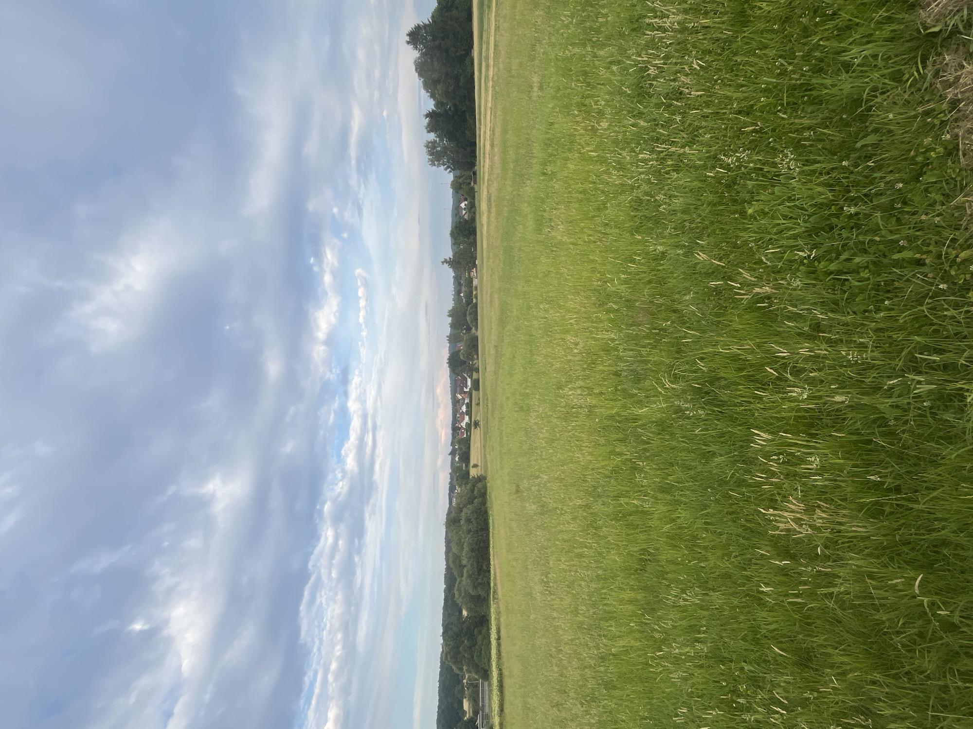 This media file depicts a landscape scene in Neustadt, Germany. The image is oriented vertically, showing a divide between a cloudy sky and a vast green field.
On the left side of the frame, a pale blue sky is filled with wispy, white clouds that stretch across the expanse. The clouds appear scattered, allowing glimpses of the blue sky beneath.
The right side of the image is dominated by a lush, green field. The grass is long and appears to be a meadow or pasture, with some taller blades and occasional hints of dried grasses or seed heads. The field extends to the horizon, suggesting a wide-open space.
In the distance, along the horizon line, a line of trees forms a dark green band. Nestled amongst the trees, a small cluster of buildings with red-tiled roofs is visible, indicating a settlement or village. The overall impression of the scene is peaceful and rural.
The lighting suggests it is daytime, likely late afternoon or early evening, given the soft light and the presence of clouds. The weather appears to be fair, with the clouds not obscuring the sky entirely. There are no people or specific objects that stand out, emphasizing the natural landscape. There is no visible text in the image.