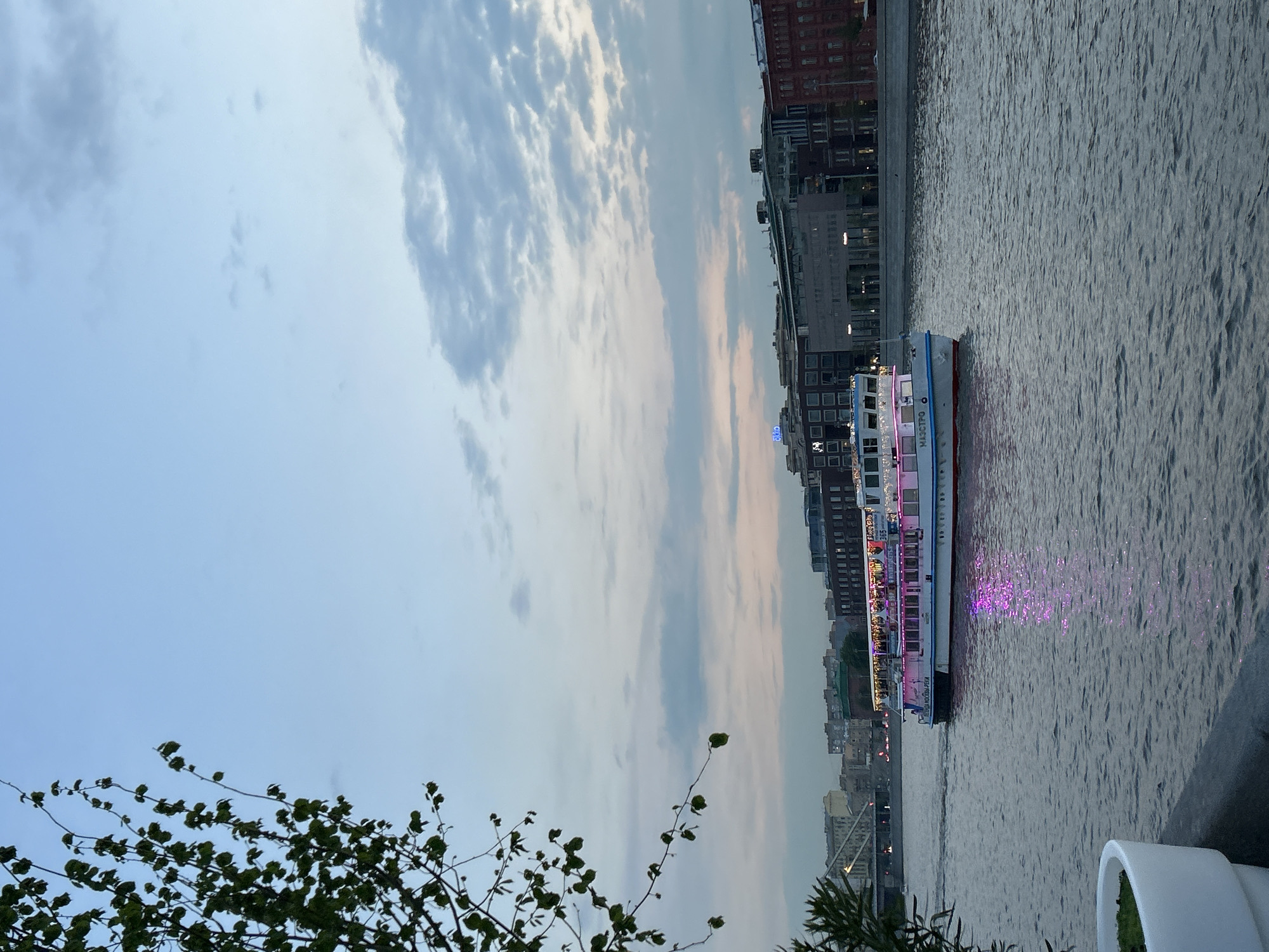 The image shows a river scene in the city of Unknown, Unknown. A riverboat is visible in the water, illuminated with pink lights. Buildings line the riverbank on one side. The sky is cloudy and appears to be dusk. The presence of foliage in the foreground suggests the photograph was taken from a park or garden.