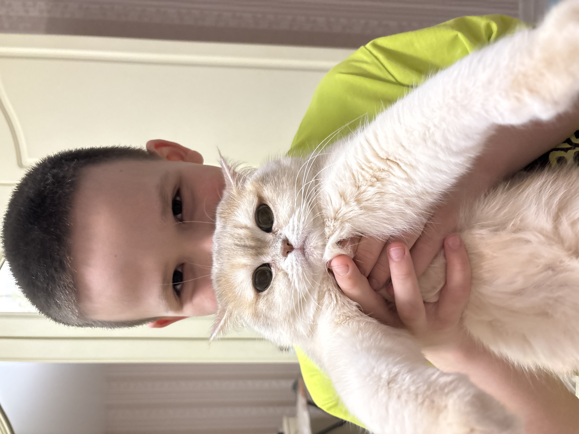 A boy with short, dark hair, wearing a lime green shirt, is holding a pale ginger and white cat. The boy is looking directly at the camera, his expression unreadable. The cat has large, dark eyes and a somewhat displeased expression. The background appears to be an interior space with light-colored walls and indistinct elements, suggesting a home environment. There is no specific indicator of this image being taken in the city of Chaikovsky, Russia.