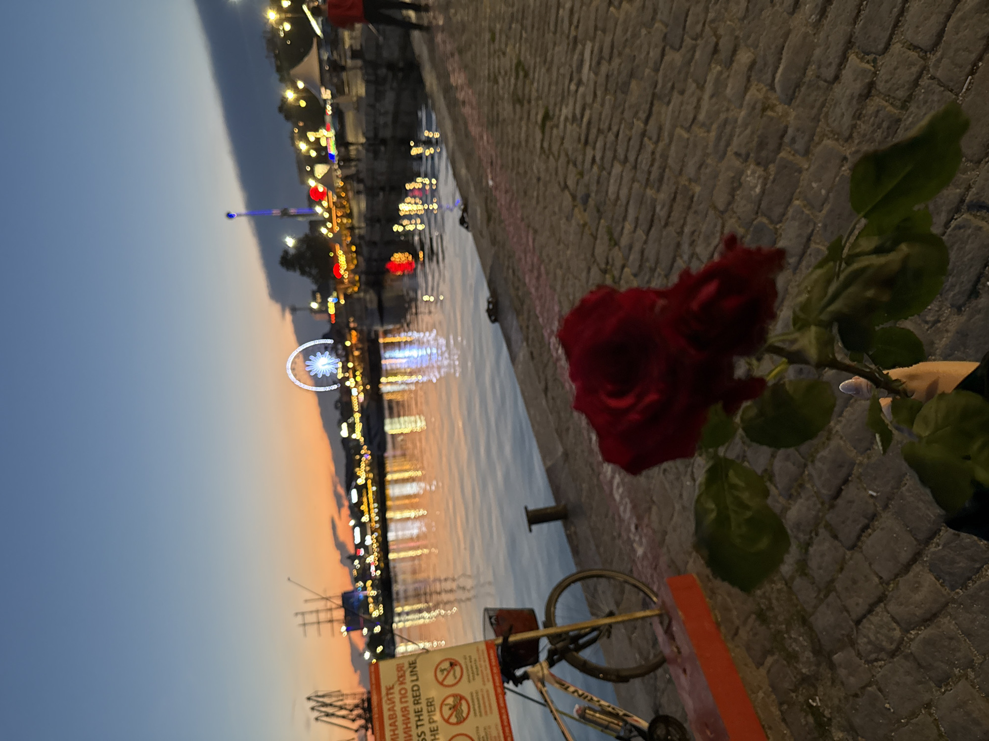 At dusk, a single red rose is held in the foreground, its petals soft and velvety. The background depicts a harbor scene at night, with a waterfront promenade illuminated by twinkling lights. A Ferris wheel and a tall amusement ride are visible in the distance. The water reflects the vibrant lights of the city and the soft hues of the twilight sky. A bicycle is parked to the left, leaning against a sign that provides safety instructions. The ground is paved with cobblestones, adding a rustic charm to the urban landscape.