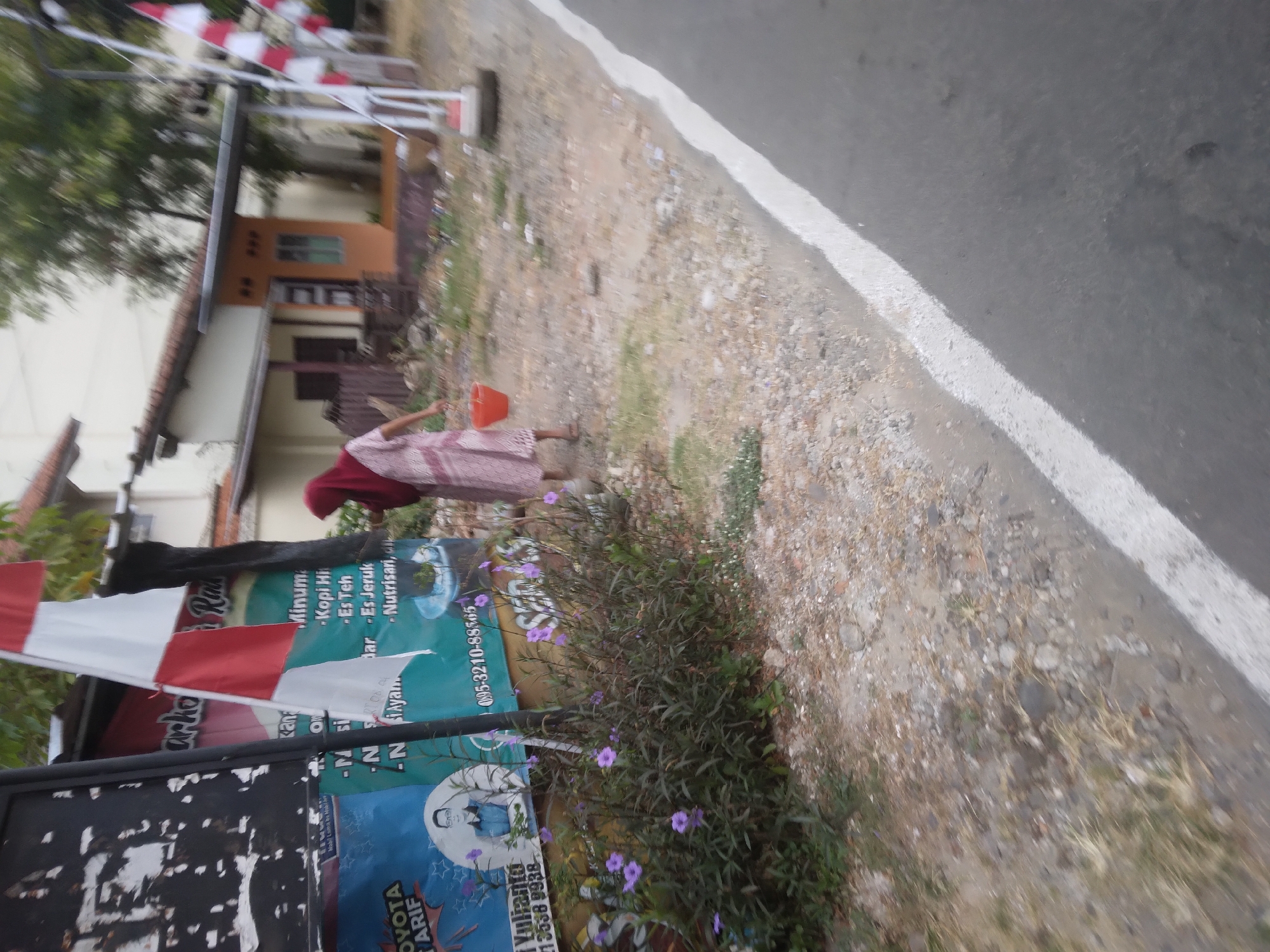 The image depicts an outdoor scene in Desa Pamijen, Kecamatan Sokaraja, Indonesia. A woman wearing a maroon hijab and a patterned dress is walking away from the camera, holding a bright orange bucket in her right hand. She is walking on a dirt and gravel path next to a road with a white painted line. In the background, a building with an orange-tiled roof and a light-colored facade is visible, along with some trees. There are also several red and white flags on poles. A large sign with text and images is partially visible on the left side of the frame. Purple flowers are growing in a dense bush in the foreground, near the sign. The ground is uneven, with scattered stones, dry grass, and some debris.