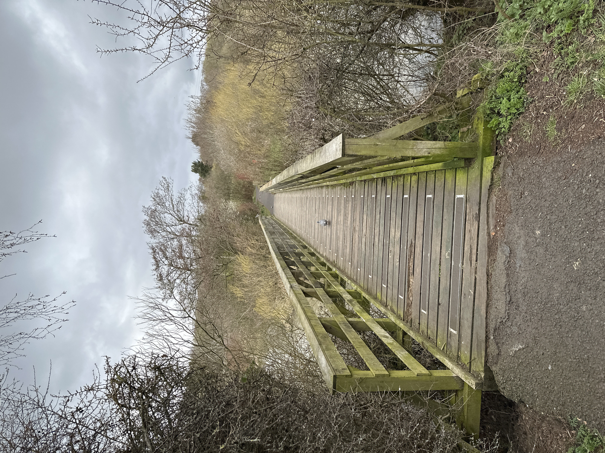 A wooden bridge extends into the distance, flanked by overgrown vegetation and a path on the right. The bridge's wood appears aged, with moss growth. The sky is overcast. A bird stands in the middle of the bridge. The location is likely a natural area or park. There are no people in the image. It is difficult to ascertain from the image that the location is Dunfermline, United Kingdom.