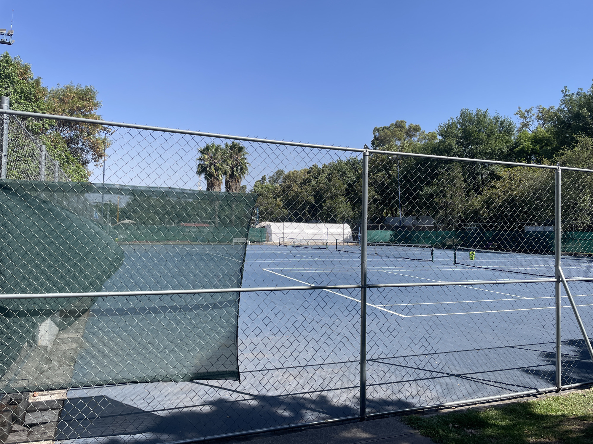 The image captures an outdoor tennis court complex in Mexico City, Mexico, viewed through a prominent chain-link fence in the foreground. The fence, made of metal mesh with a horizontal top bar, occupies a significant portion of the frame, casting distinct shadows on the ground and the court, indicating bright sunlight. A dark green wind or privacy screen is partially attached to the left side of the fence.
Beyond the fence lies a blue tennis court with clear white lines marking the playing area. A tennis net is stretched across the middle of this court, and a single yellow tennis ball is visible near the net on the right side. To the left, another tennis court or practice area is largely obscured by a green privacy screen similar to the one on the fence, with only glimpses of its surface visible.
The background is dominated by lush green foliage, featuring various trees, including several tall palm trees that stand out against the clear, vibrant blue sky. A large, white tent-like structure is partially visible behind the courts in the distance. No people are present on or around the courts, suggesting a quiet moment before or after play. The overall scene conveys a bright, sunny day, likely midday or early afternoon, with no visible clouds. There is no discernible text in the image.