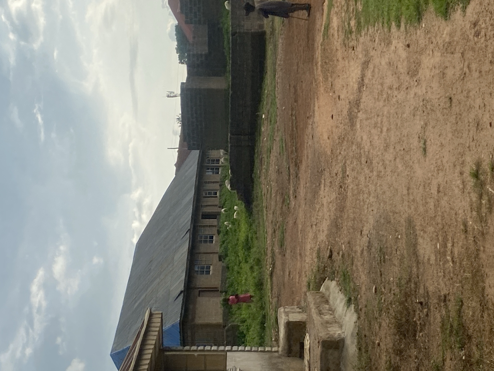 The image depicts an outdoor scene with a long, low building in the background, featuring a large, grey, corrugated metal roof. A person in a pink garment stands in front of the building, amidst a patch of green grass where several white sheep are grazing. To the right, a person wearing a dark outfit and holding a stick stands on a dirt path. Adjacent to this path is a low, green grassy area. In the foreground, a rough dirt path dominates the lower half of the image, with some patches of dry grass. To the left, a concrete structure with a textured surface is visible, appearing to be a raised platform or step. The sky above is partly cloudy, with a mixture of white and grey clouds against a pale blue backdrop. The overall impression is that of a rural or semi-rural setting.