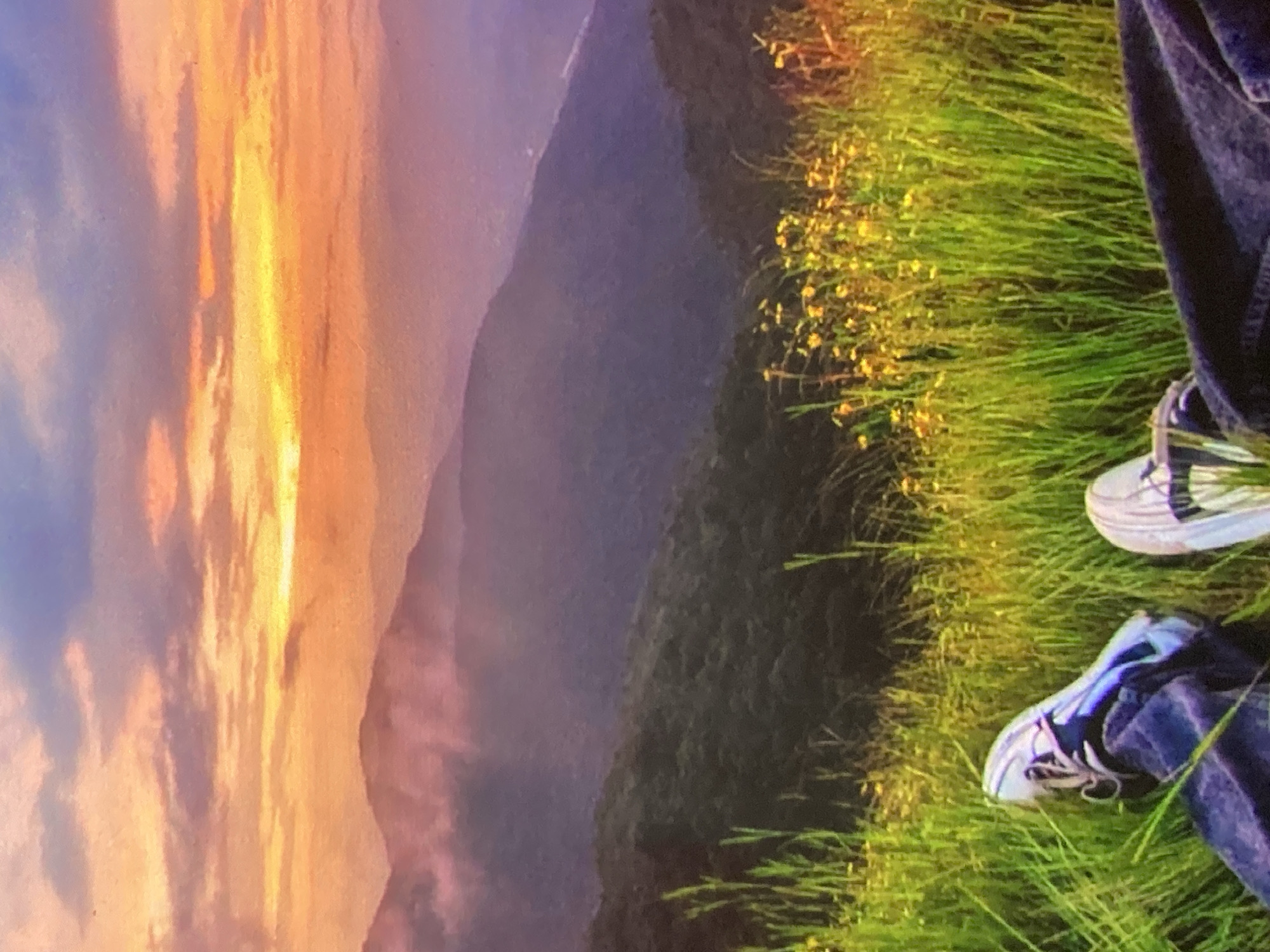 The image depicts a panoramic view of mountainous terrain at sunset, with a person's legs and feet in the foreground. The sky is a vibrant mix of orange, yellow, and purple hues, indicative of a sunset, with clouds scattered across it. The mountains are layered, with the closest ones covered in lush green vegetation and a mist or cloud cover obscuring the distant peaks, which fade into a purple haze. In the foreground, tall green grass and small yellow wildflowers are abundant. The person's legs are clad in dark denim jeans, and they are wearing athletic shoes. One shoe is a light color with black accents, and the other appears to be a darker, possibly iridescent or metallic blue. The person is positioned sitting on the grassy slope, looking out at the landscape. The location is identified as the city of Ustyvytsia, Ukraine.