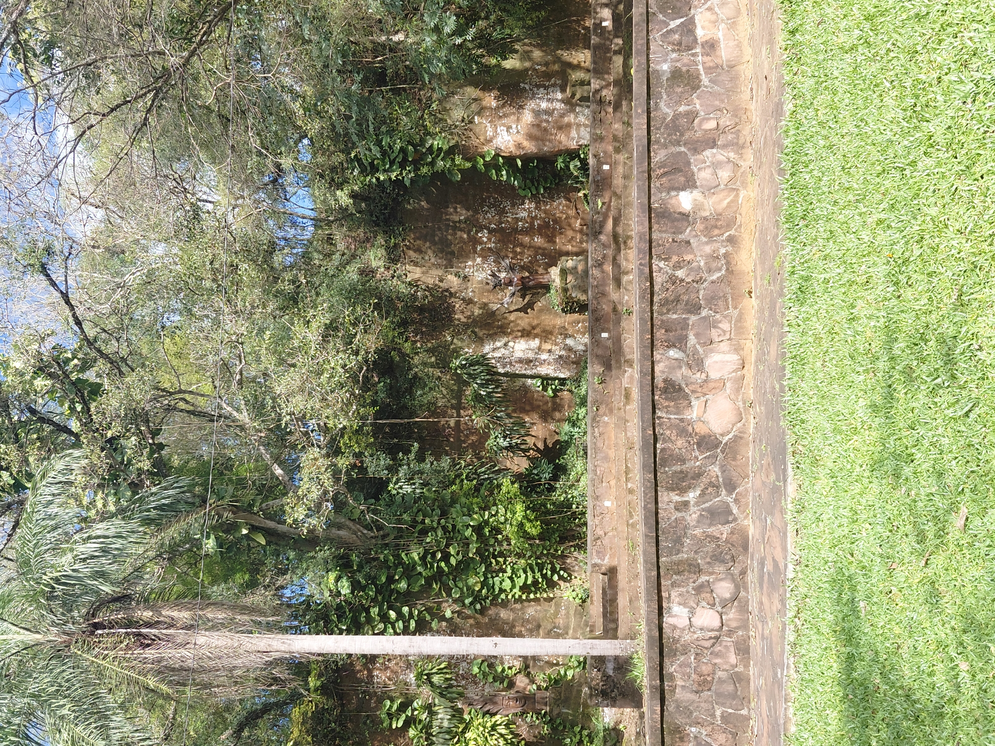 This is an outdoor daytime shot of a garden with a stone wall and lush vegetation. In the foreground, there is a neatly trimmed green lawn. Behind the lawn, a stone wall structure is visible, constructed with irregular, flat stones. Above this wall, a tiered stone platform leads up to a weathered brick wall covered in creeping plants and vines. To the left of the brick wall, a tall, slender palm tree stands prominently. In the middle section of the brick wall, there are a few weathered stone carvings or statues, including what appears to be a face. The upper portion of the image is dominated by dense foliage and tree branches, with glimpses of a blue sky through the leaves. The scene evokes a sense of a tranquil, overgrown garden. This scene is located in the botanical garden of Trinidad, Paraguay.