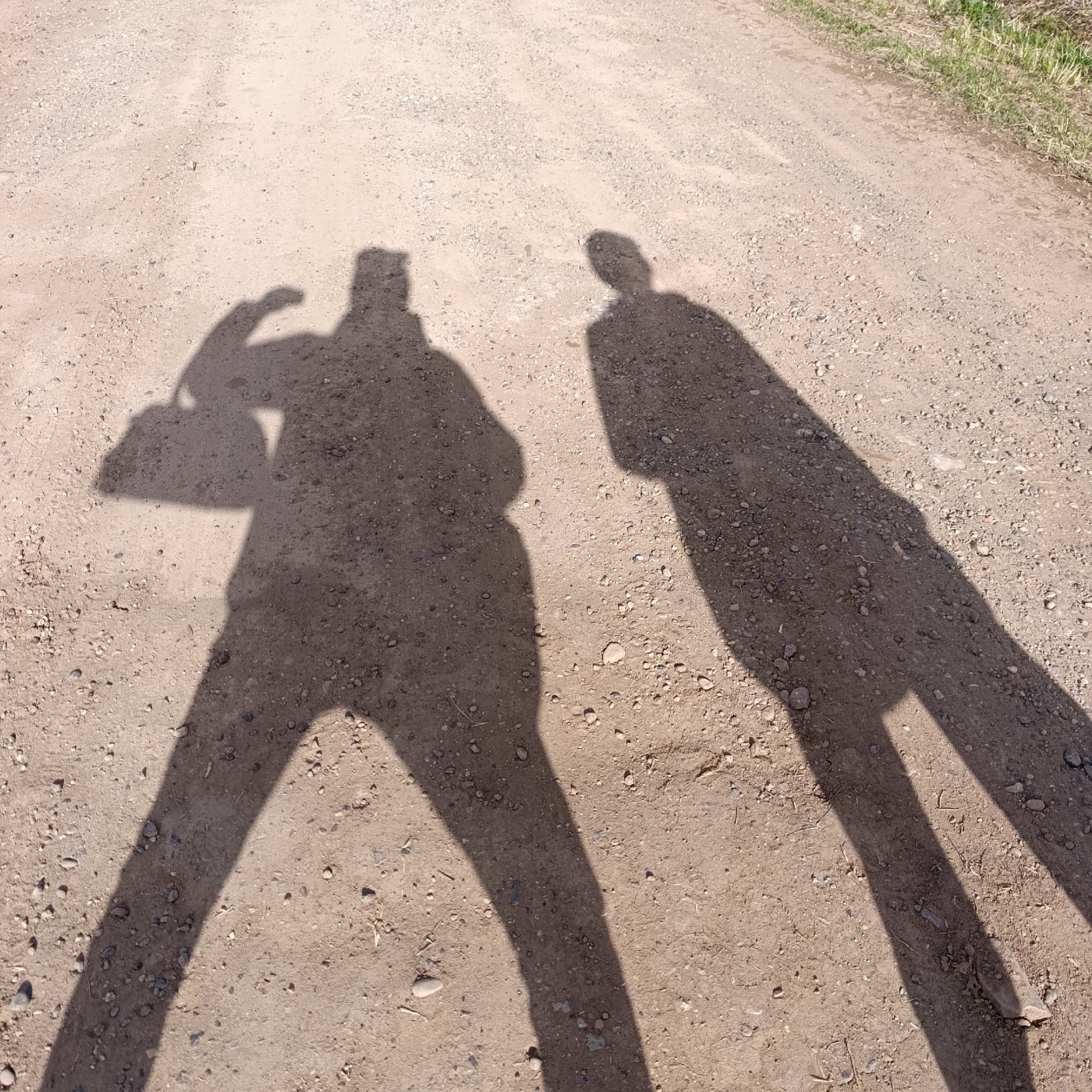 The image displays the distinct shadows of two people on a light brown dirt road under bright sunlight in Dubovaya, Russia. The sun is high, likely indicating late morning or early afternoon, as the shadows are relatively short and sharp.
On the left, a shadow of a person is visible, characterized by a somewhat broad figure. This individual appears to be holding a bag or purse in their left hand, which is slightly raised. To the right, the shadow of a second person shows a more slender profile. Both shadows stretch forward on the road, with their legs extending out of the frame towards the bottom.
The road surface is composed of packed dirt and numerous small stones, creating a textured ground. Along the far right edge of the road, small patches of green and dry grass are visible, suggesting a rural or natural environment. No specific activity beyond standing or walking is discernible from the shadows. The weather is clearly sunny, and no emotions are conveyed. There is no visible text in the image.