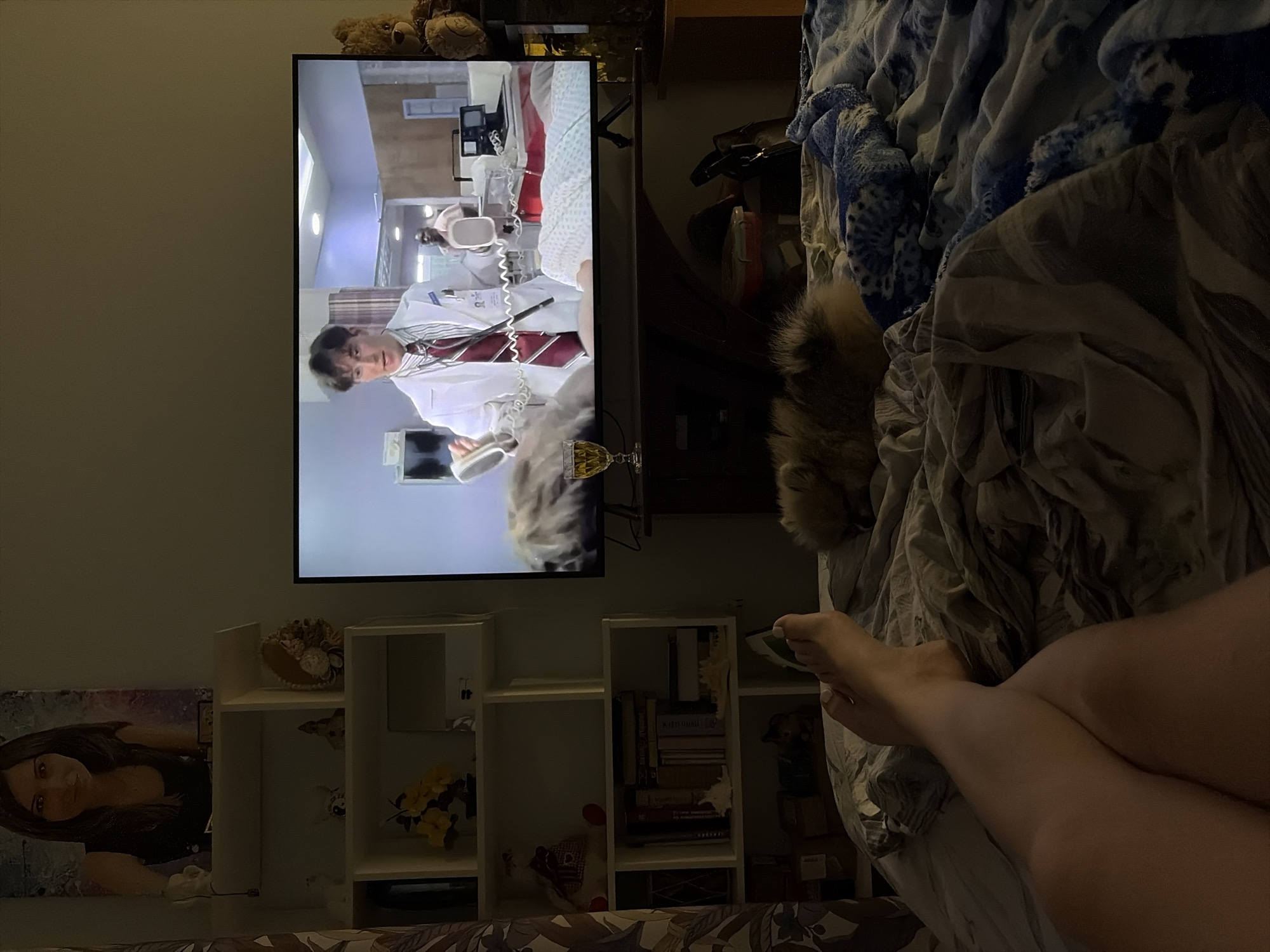 The image depicts an indoor scene, likely a bedroom or living room, with a low-light ambient. The geographical location of Sertolovo, Russia, cannot be determined from the visual information presented.
In the foreground, a person's lower legs and feet are visible, resting on a rumpled bed covered with a light gray duvet and a blue patterned blanket. The person's feet are crossed, and the toenails of one foot are painted white. Adjacent to the person's feet, on the bed, a small, fluffy, light brown dog is curled up and appears to be sleeping.
Dominating the center of the frame is a flat-screen television displaying a scene set in a medical environment. A male actor, dressed in a white lab coat, striped shirt, and red tie, is prominently featured, holding what appear to be defibrillator paddles. A patient is partially visible lying on a bed on the screen, and another individual is in the background.
To the left of the television, a white, multi-level shelving unit is against the wall. A framed portrait of a woman with dark hair and a black top is leaning above the top shelf. Various decorative objects are placed on the shelves, including a small lamp, figurines, a vase with yellow artificial flowers, several books, seashells, and a small teddy bear. A patterned curtain is visible on the far left edge of the image.
To the right of the television, a larger, light brown teddy bear is positioned on the same surface as the television. A stemmed glass containing a yellowish liquid, likely wine, is on the television stand beneath the screen. The television is situated on a wooden surface, beneath which other dimly visible items are present. The overall environment suggests a relaxed setting for watching television.