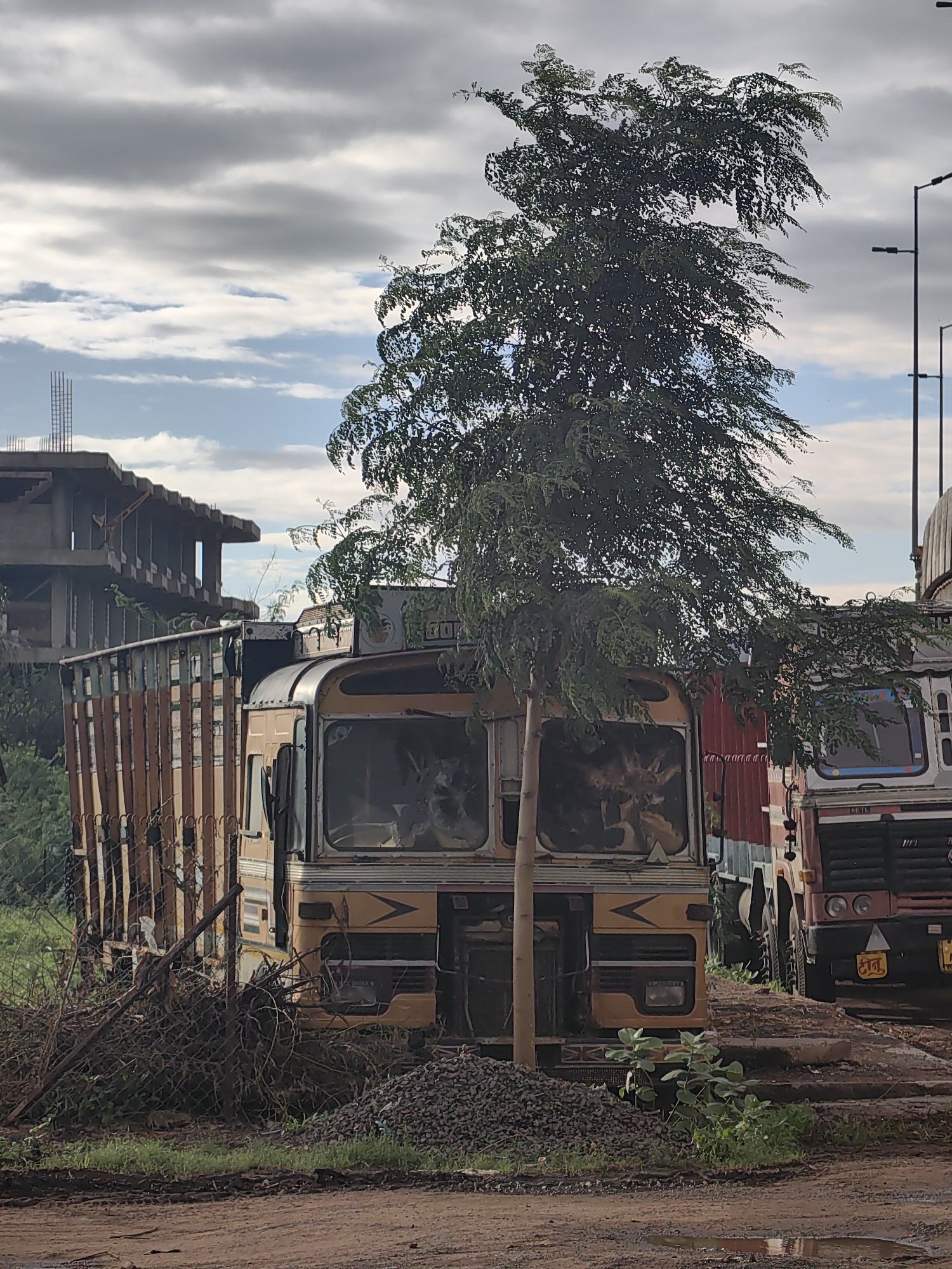 In Malkapur, India, an old, yellow and brown bus, possibly derelict, sits partially obscured by a young tree in the foreground. The bus, with a damaged windshield, appears stationary. Behind it, a tall, thin tree with dense green foliage dominates the center of the frame, its leaves rustling. To the right of the bus, the front of a red and black truck is visible, suggesting a commercial vehicle. In the background, a partially constructed concrete building stands against a sky filled with dramatic, layered clouds, interspersed with patches of blue. The ground is a mix of dirt, gravel, and sparse green grass, with some puddles suggesting recent rainfall. The overall scene conveys a sense of stillness and abandonment in an outdoor urban or semi-urban environment.