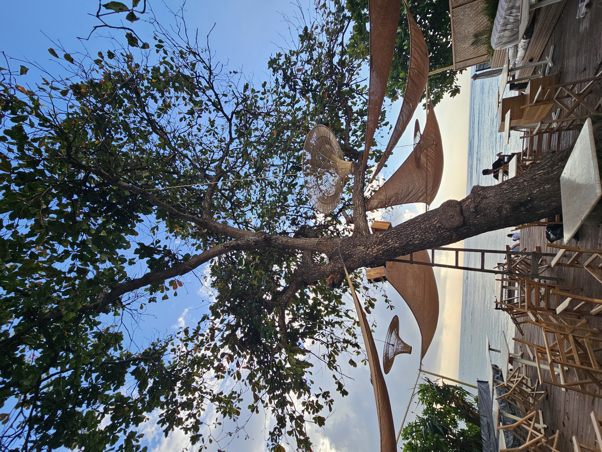 This is a ground-level, eye-level shot of an outdoor cafe area on the beach in Denpasar, Indonesia. The scene is dominated by a large tree with green leaves and bare branches reaching towards the sky. Several rustic, woven light fixtures hang from the tree's branches, and a ladder leans against the trunk. Tan fabric canopies are draped above the seating area, creating shade. In the foreground, several empty wooden tables and chairs are arranged on a wooden deck. Beyond the seating area, a person sits at a table facing the ocean. The ocean stretches out to the horizon under a partly cloudy blue sky. The overall atmosphere suggests a relaxed, tropical setting.