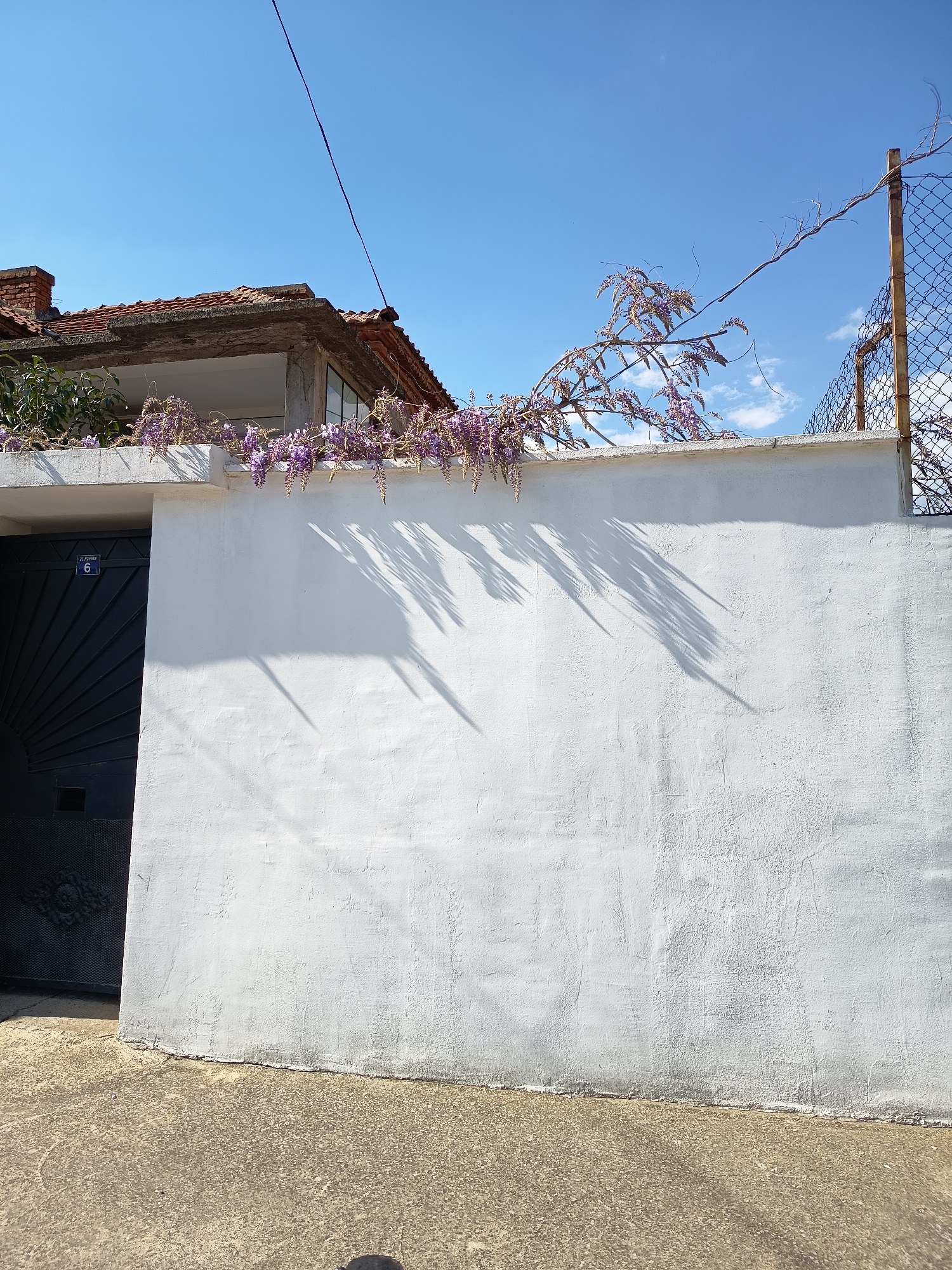 The image shows a sunlit white wall in Sungurlare, Bulgaria. The wall extends horizontally across the frame, with a dark metal door at the left end bearing a small sign with the number "6". Purple wisteria flowers drape over the wall's top edge, casting sharp shadows on the wall's surface. A section of a brick building is visible above the left side of the wall, with a tiled roof. A section of chain-link fence is visible on the right side of the wall, entangled with a thin, bare vine. A concrete surface forms the foreground, showing signs of wear. A power line stretches across the upper part of the image against a clear blue sky.