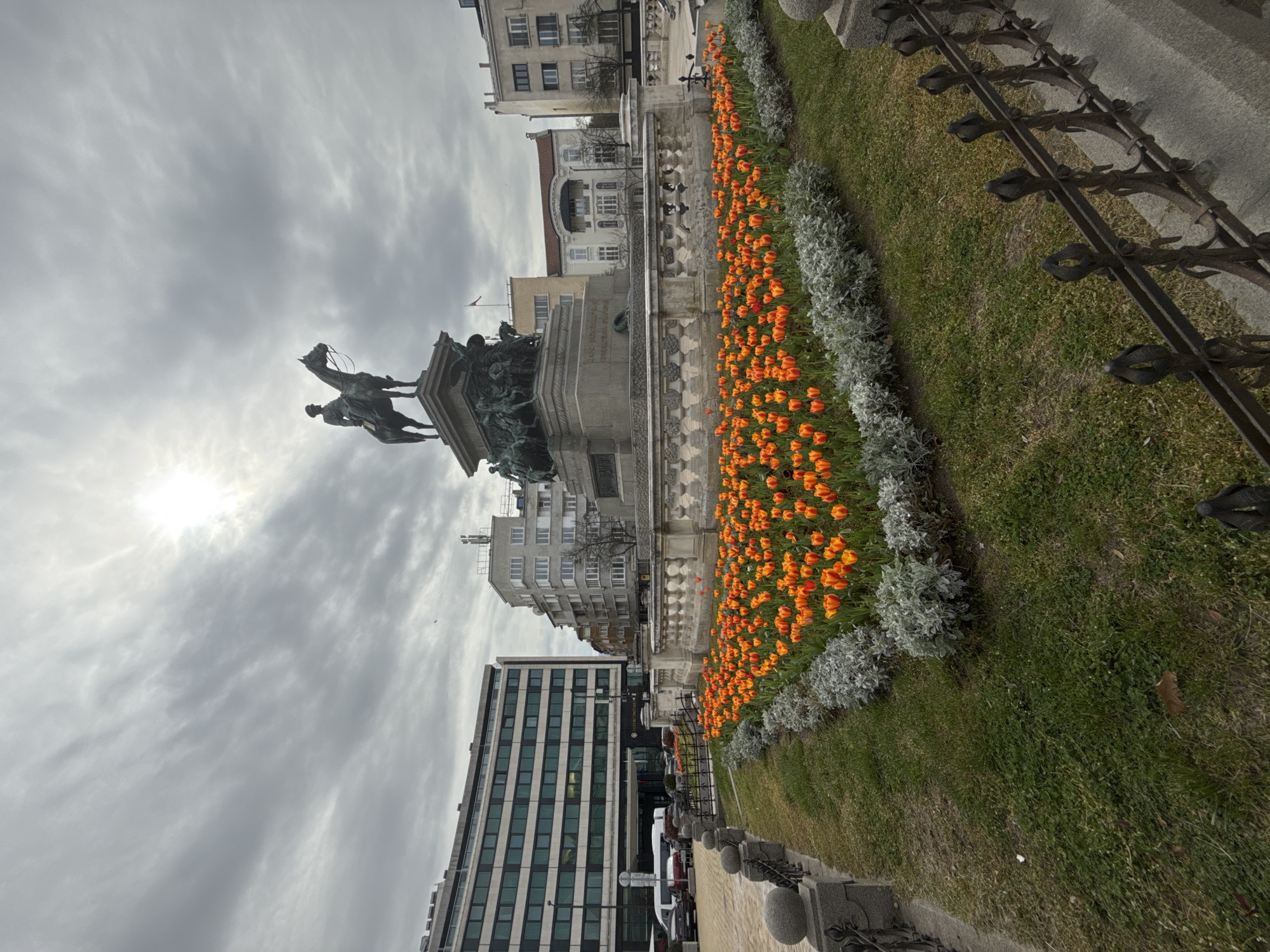 The image captures an urban scene in Sofia, Bulgaria, likely a public square or park, under a bright, cloudy sky. The central feature is a prominent equestrian statue, identifiable as the Tsar Liberator Monument, positioned towards the left. The large bronze statue depicts a figure on horseback atop a grand stone pedestal, which is adorned with additional figures and reliefs at its base. Inscriptions, likely in Cyrillic, are visible on the stone base of the monument.
In front of the monument, stretching towards the right foreground, is a vibrant flowerbed teeming with numerous orange tulips arranged in dense rows. These cheerful blossoms create a striking line of color, bordered by rows of bushy, silver-leafed shrubs that contrast with the green grass occupying the wider ground area to the right. A decorative black metal fence with ornate, spear-like elements runs along the edge of the grass and a paved path in the foreground.
The background showcases a mix of architectural styles. To the left of the monument, a modern multistory building with a glass facade and horizontal window strips stands prominently. Beyond the monument and the flowerbed, various older buildings with traditional, multi-windowed facades line the street, suggesting a historic city center. The sky is predominantly covered by white and grey clouds, though the sun is brightly visible in the upper left corner, casting a soft, diffuse light over the entire scene. No specific activity or event is taking place; the image presents a static, vibrant urban landscape.