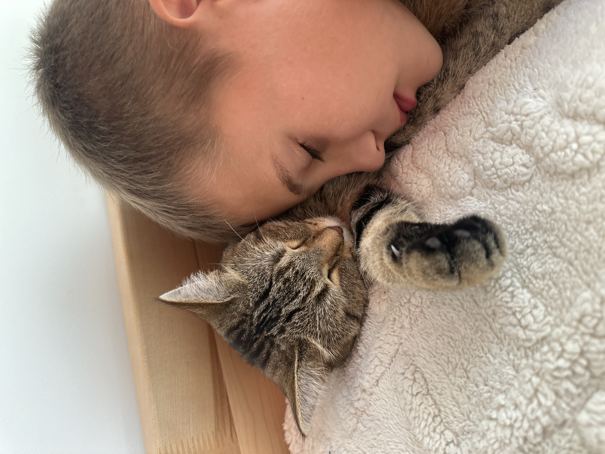 A young boy and a tabby cat are sleeping together on a soft, white blanket. The boy's head is resting near the cat's head, and his eyes are closed. The cat is also sleeping soundly, with its eyes shut and its paw resting on the blanket. A wooden headboard is visible behind them. The scene appears to be in a bedroom.