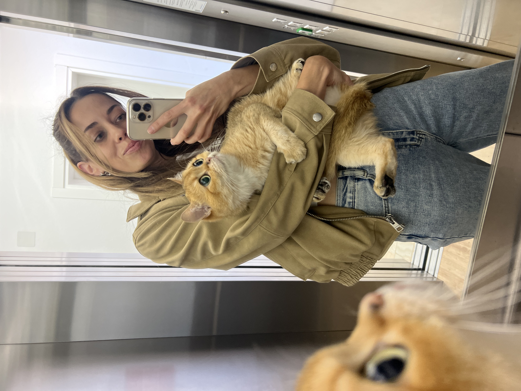 A mirror selfie captures a young woman holding a golden-orange cat, with another blurry cat's face prominent in the foreground. The woman, who has light brown hair, is wearing a light tan or khaki jacket and blue jeans. She holds a light-colored smartphone (possibly an iPhone 14 Pro or 15 Pro based on the camera module) in her right hand, using it to take the photo. Her expression is a subtle smile or pout.
The cat she is holding has bright green or turquoise eyes and golden fur. It appears calm, looking slightly upward and to the left. Its paws are visible, tucked close to the woman's body. In the immediate foreground, the out-of-focus head of a second golden-orange cat is visible, with one eye and whiskers, suggesting it is very close to the camera lens.
The setting appears to be an indoor space with reflective surfaces, likely an elevator, given the metallic panels and a control panel with visible buttons and a green light in the background. White walls or doors are visible in the reflection, indicating a well-lit environment. There is no clearly readable text, although faint markings are present on the elevator control panel. The scene is located in Bar, Montenegro, according to the provided context. The time of day is not discernible.