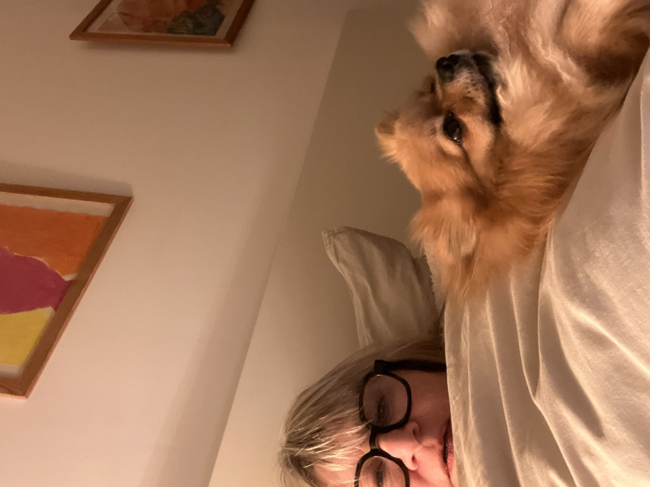 The image depicts a person wearing glasses and partially covered by a white sheet or comforter, suggesting they are in bed. Beside them is a fluffy, light-brown dog, possibly a Pomeranian or similar breed, also seemingly in the bed. Two framed artworks adorn the wall. One painting has orange, pink, and yellow colors. The other, slightly out of focus and above, is a mixture of dark and light greens and red. The setting is likely a bedroom, with a warm color cast overall.