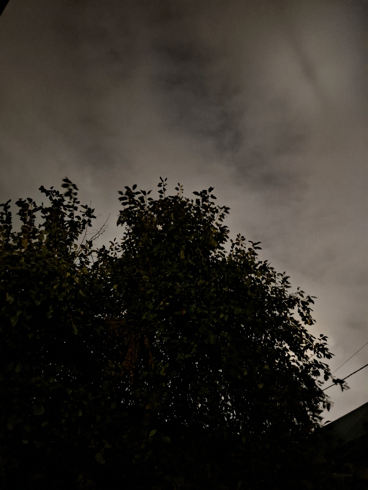 The image is a low-angle shot of a tree against a cloudy, dark sky. The tree is silhouetted, with its leaves and branches visible in dark green and brown tones. The sky is filled with heavy, gray clouds, suggesting overcast weather or twilight. There are faint hints of artificial light illuminating some of the clouds from above. In the lower right corner, a portion of a building's roof and a power line are visible. The scene is dark and moody, with very little detail in the shadows of the tree. The location is identified as the city of Tyumen, Russia. There are no people or animals visible in the image.