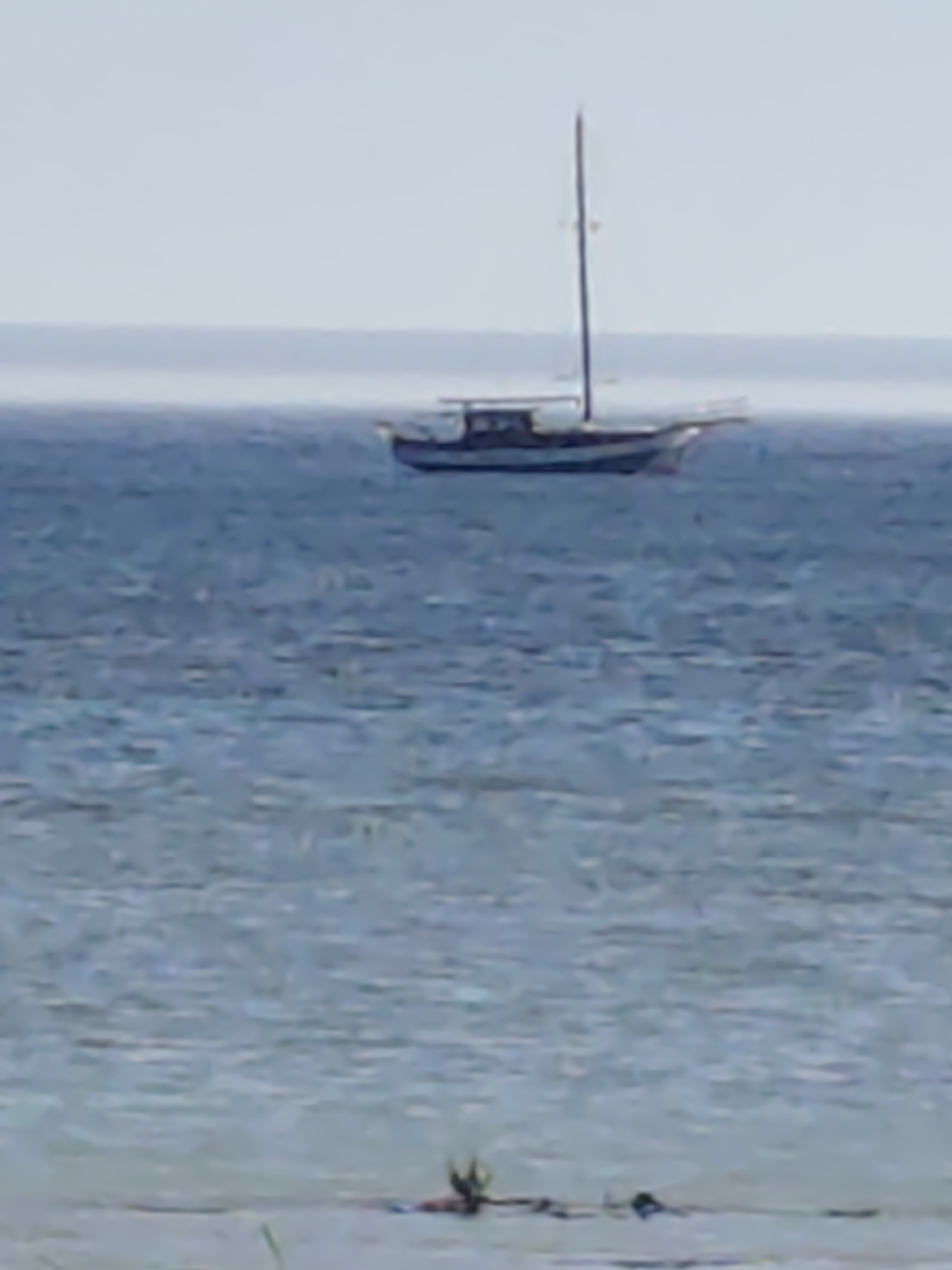 A lone sailboat with a single mast drifts on a calm, blue sea under a hazy sky. In the foreground, a few green reeds emerge from the shallow water, suggesting a shoreline or shallow area. The overall scene is serene and peaceful, with the sailboat positioned off-center in the mid-ground, drawing the viewer's eye. The low resolution of the image makes it difficult to discern finer details of the sailboat or the distant horizon.