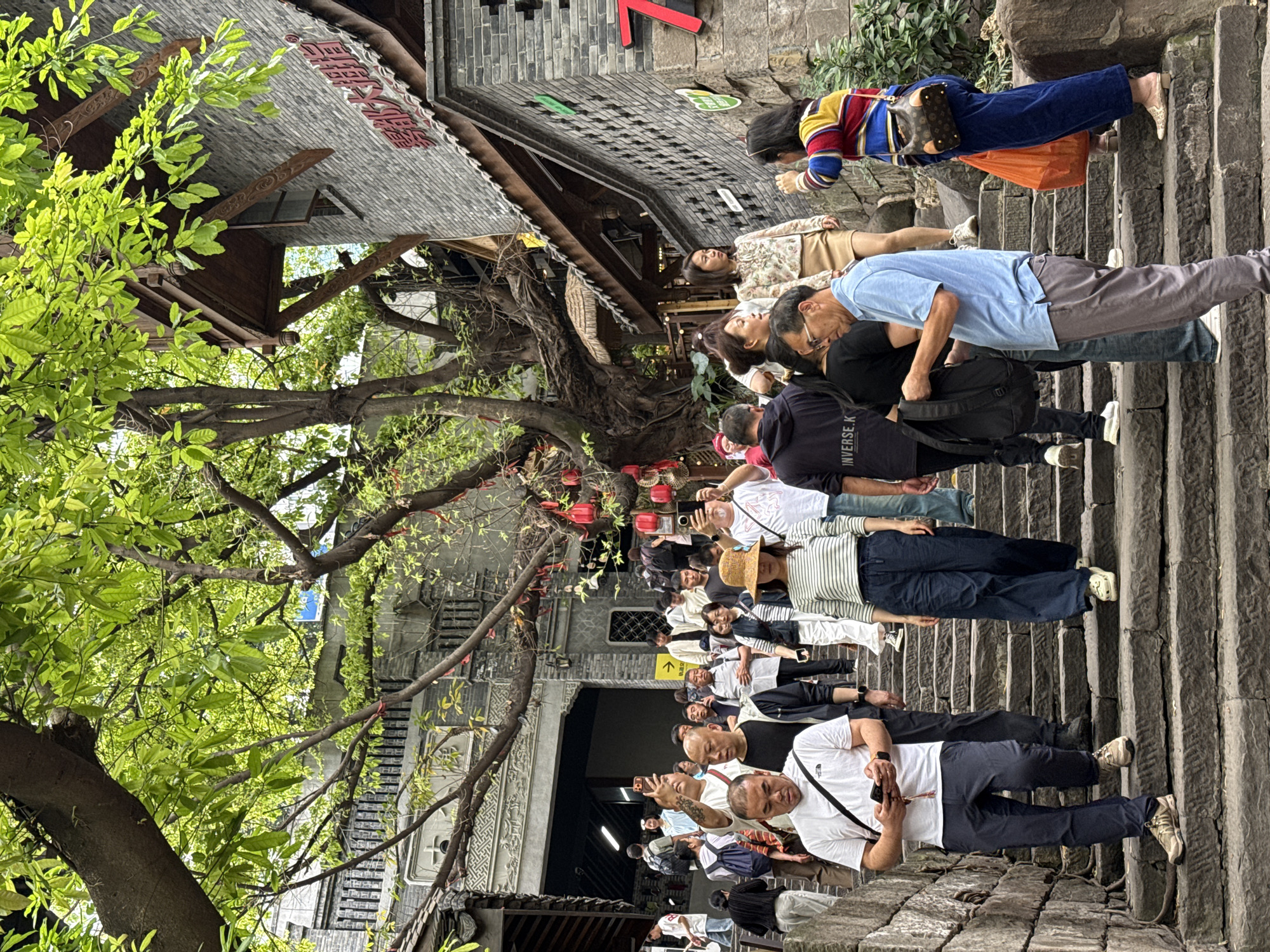 The image shows a crowded street in the Yuzhong District of China, with many people walking down a set of stone steps. The steps are lined with stone walls and buildings, some with traditional Chinese architecture and signage. A large tree with green leaves partially obscures the view. People are wearing various types of clothing. Some are looking at their phones, while others are talking and moving through the crowd. Red lanterns are visible hanging overhead. The environment appears to be a tourist destination or a popular area.