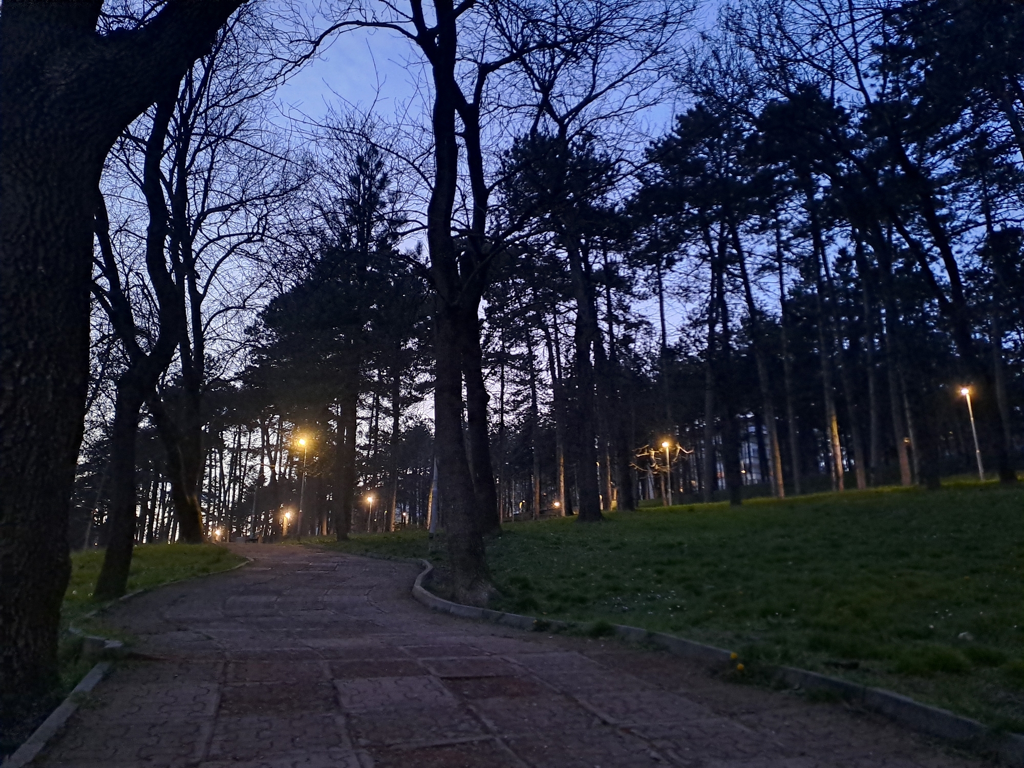 The image captures a park pathway lined with trees, likely in the evening or early morning due to the dim lighting and blue-tinged sky. The pathway is paved with dark-colored stone blocks or tiles. Streetlights illuminate the path and surrounding trees at intervals. The trees themselves are a mix of deciduous (some with bare branches) and evergreen varieties. The ground on either side of the pathway is covered in green grass. The scene appears to be quiet and deserted. This is Gurko Street in Veliko Tarnovo, Bulgaria.