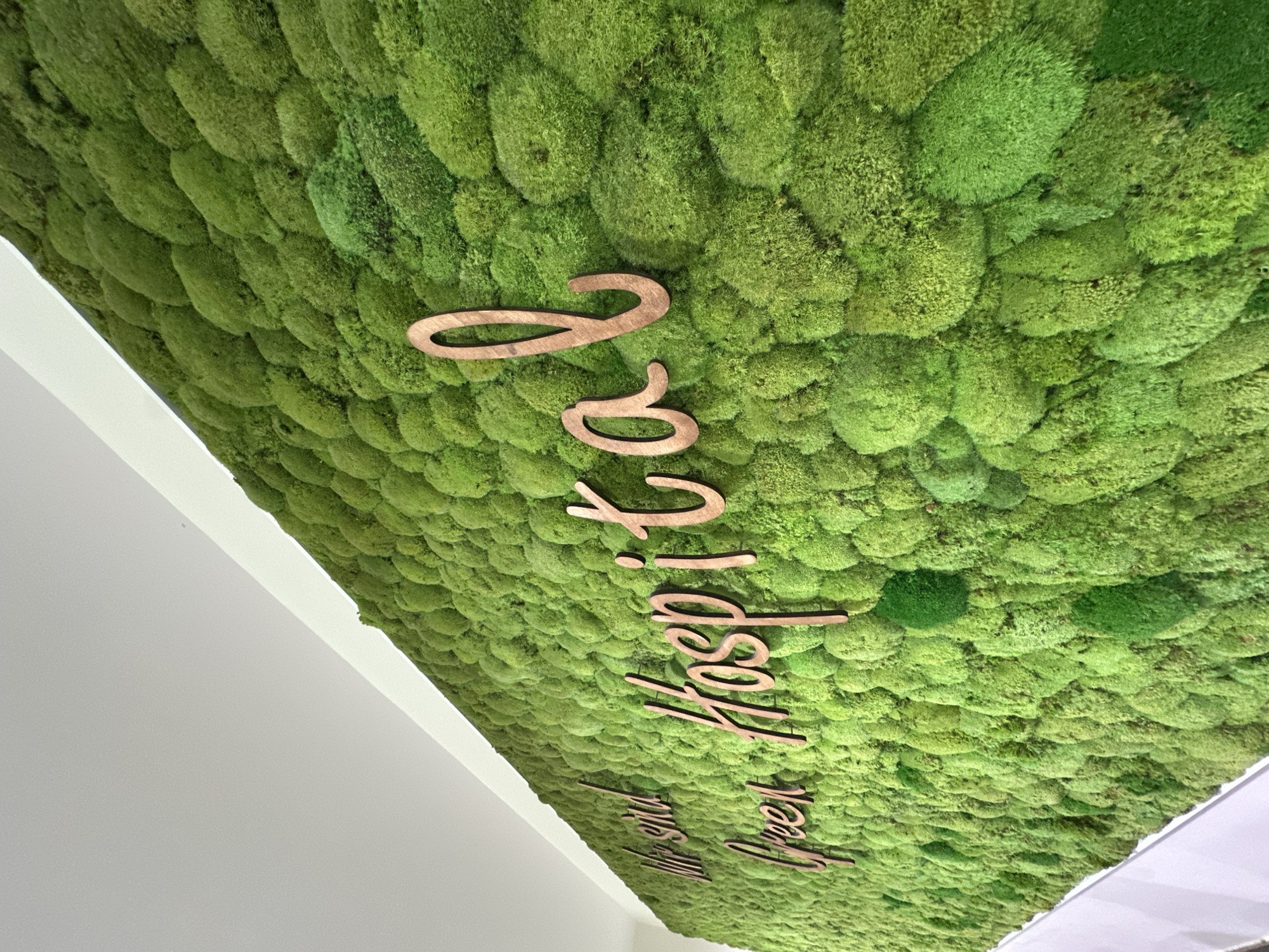 The image shows a close-up view of a wall covered in preserved green moss, forming a textured, organic surface. Mounted on the moss are wooden letters that spell out "Wir sind Green Hospital." The lighting suggests an indoor environment, likely a waiting area or reception. The perspective is slightly angled, looking up towards the wall. There are no people visible in the image. The location of this "Green Hospital" is not specified in the image itself; therefore, its presence in Garmisch-Partenkirchen, Germany, cannot be determined from the visual information provided.