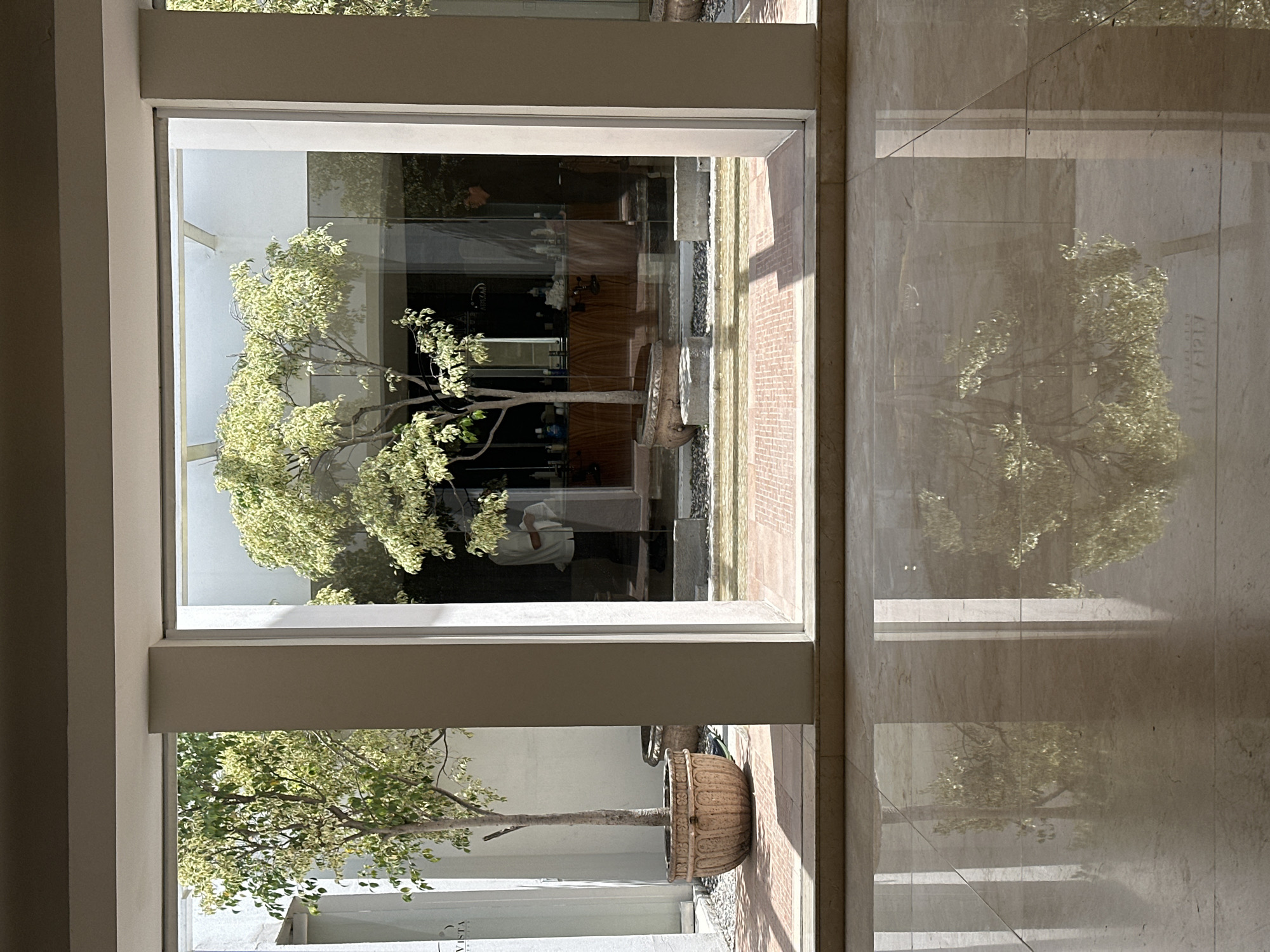A view through a large window or doorway shows a tree in a pot on the outside. The tree is visible through the window and reflected on the polished surface to the right. Inside, people can be seen, and there is what appears to be a serving area. The environment is an upscale or well-maintained building, possibly a restaurant or hotel. The location is identified as San Bernardino Tlaxcalancingo, Mexico.