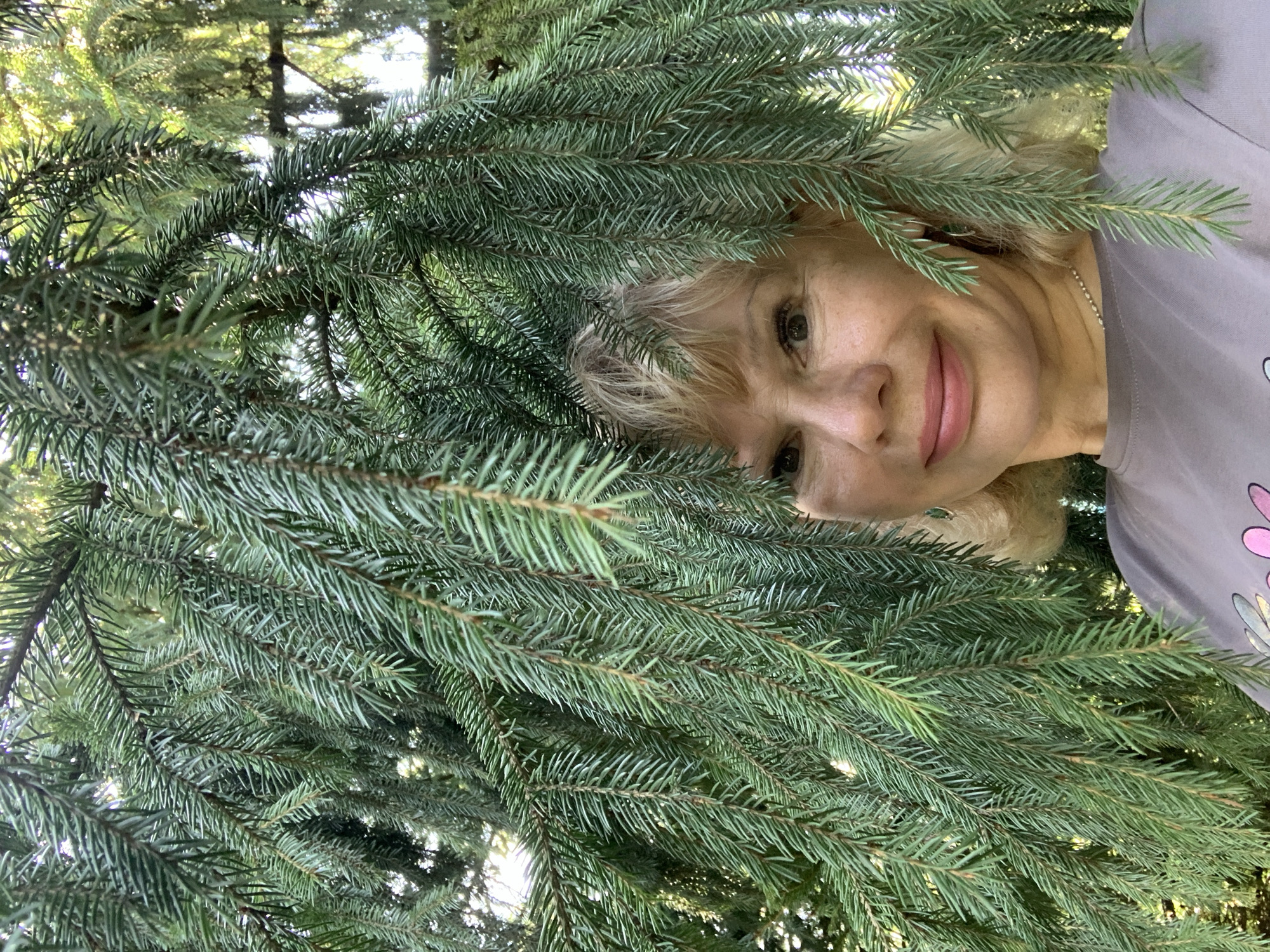 A woman with blonde hair and fair skin is peeking through the branches of a coniferous tree, her face partially obscured by the needles. She is smiling and looking towards the camera. She is wearing a grey t-shirt with a colorful graphic on it. The background consists of more green branches and dappled sunlight, suggesting an outdoor setting. The image does not provide enough information to determine its location within Prokopyevsk, Russia.