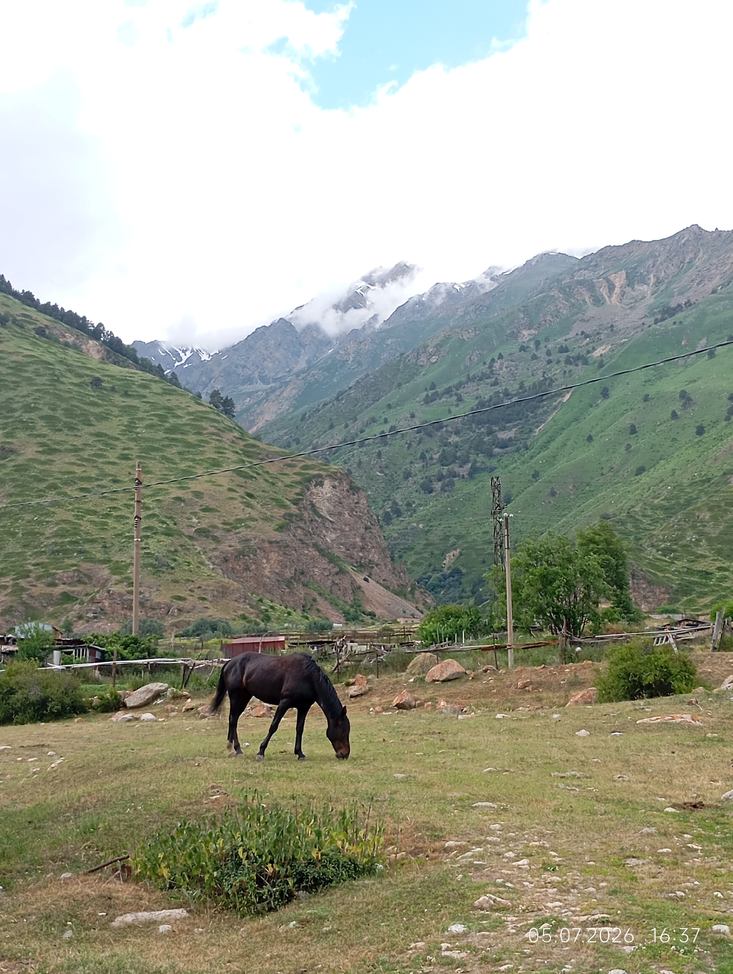 A dark-colored horse grazes in a grassy field in front of a mountainous landscape. The horse is positioned in the lower left quadrant of the image, facing right and with its head down, eating grass. The field is somewhat dry and uneven, with scattered rocks and patches of green vegetation. In the background, steep, green-covered mountains rise, with some rocky outcrops and patches of snow near the peaks, partially obscured by clouds. A power line runs horizontally across the middle ground of the image, supported by a wooden pole. Further in the background, there appear to be some small structures, possibly houses or farm buildings, and fences. The sky is partly cloudy with bright white clouds and patches of blue. The date and time stamp "05.07.2026 16:37" is visible in the lower right corner of the image. The scene depicts a rural, mountainous environment, likely in the vicinity of Neutrino, Russia, given the presence of the power line and the terrain.