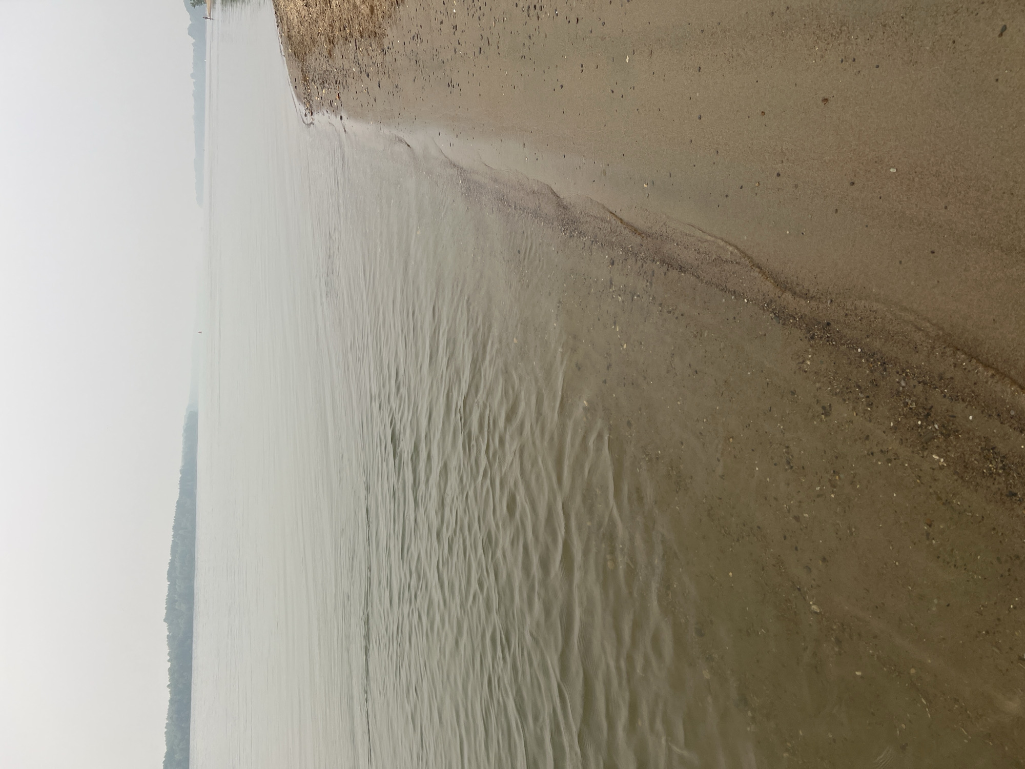 The image shows a beach on a large body of water, likely a river or lake, with a hazy sky obscuring the distant shore. The water is calm with small ripples. The beach is sandy with small pebbles and shells mixed in near the water's edge. A faint treeline is visible in the distance, appearing muted due to the haze. There are no visible people or structures in the immediate vicinity. The location is identified as the city of Mochishche, Russia.